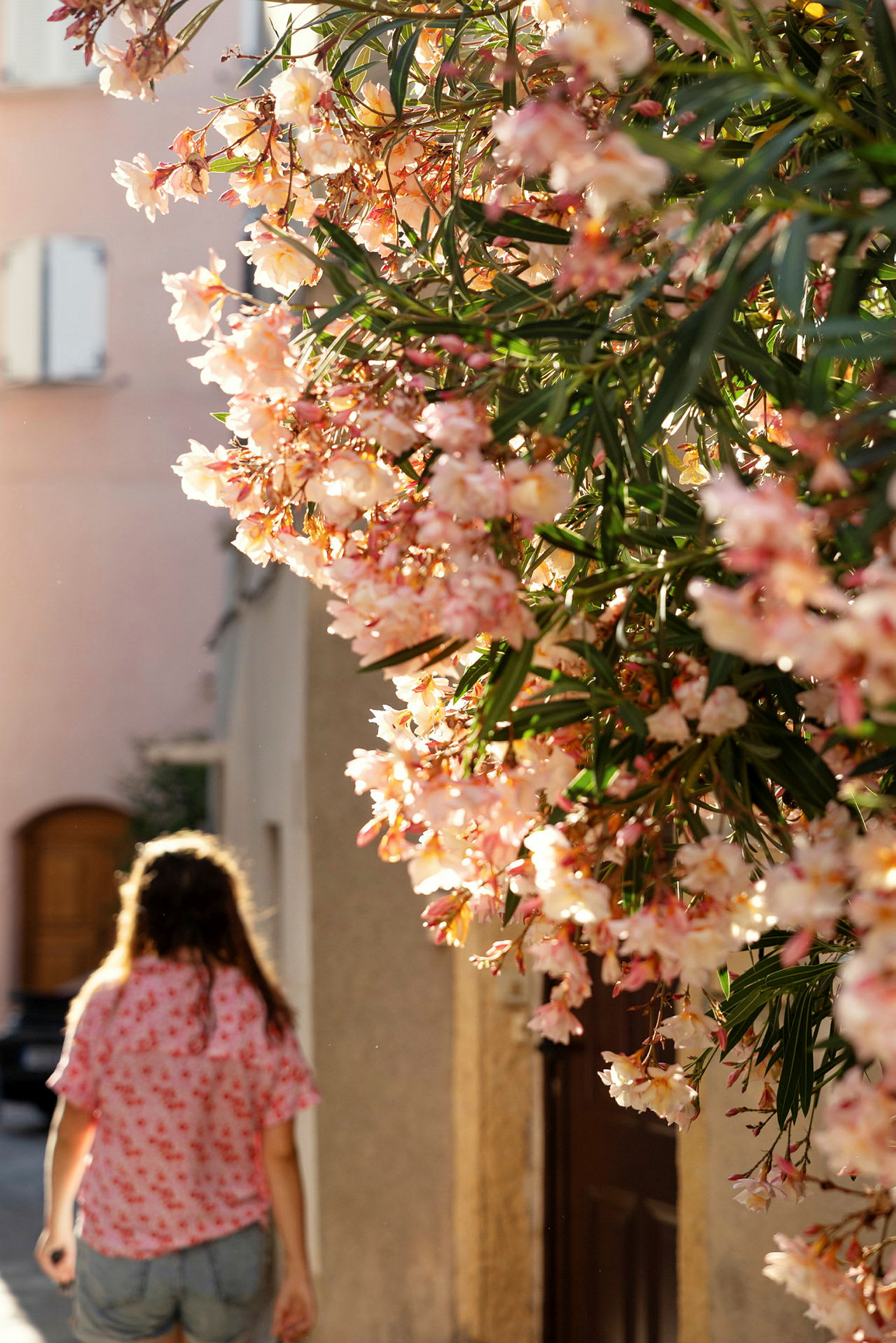 En person går på en gate, med rosa og hvite blomster synlige i forgrunnen. (AI-generert tekst)