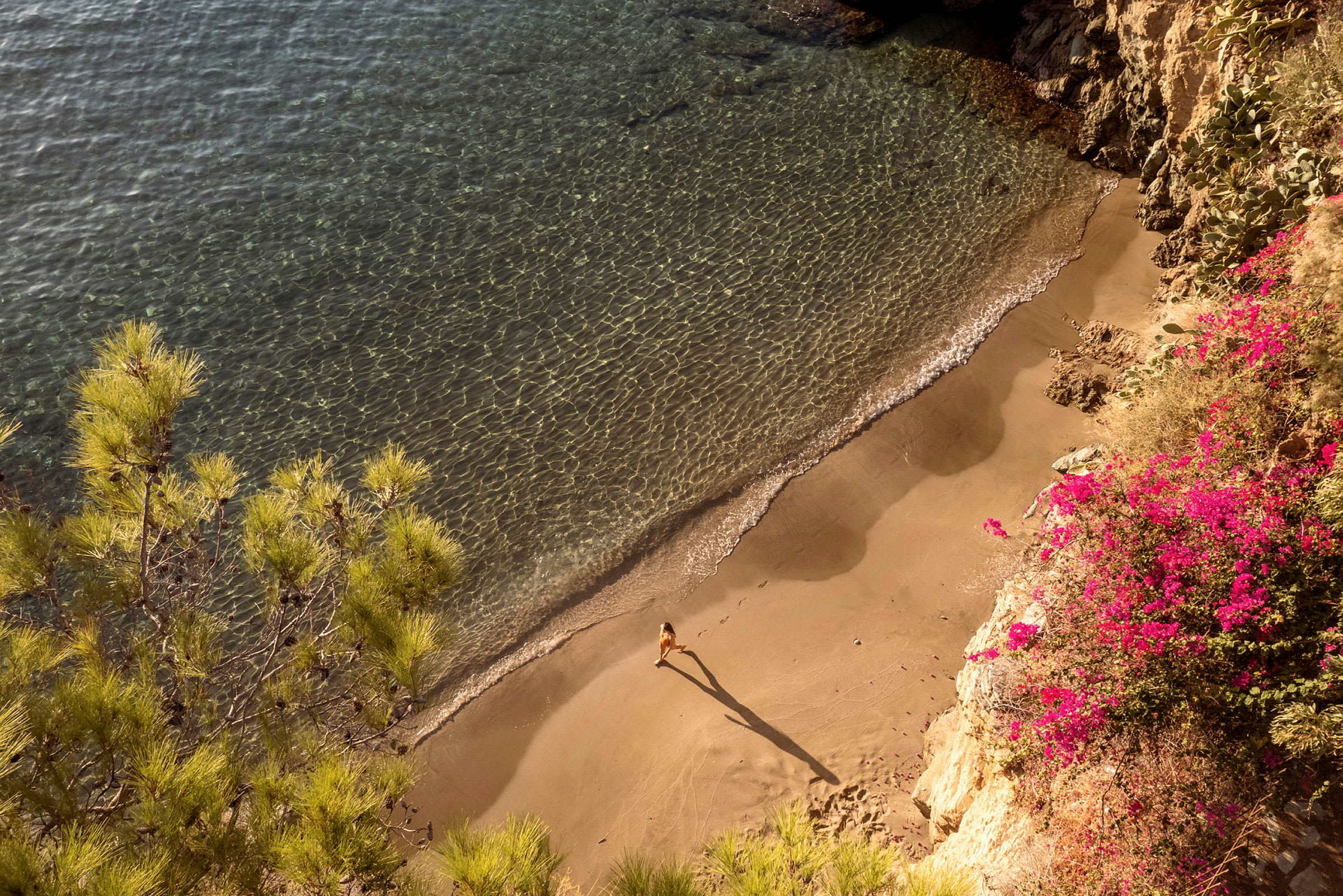 Utsikt over en liten strand med klart vann, sand og en person som går. Fargerike blomster og planter er synlige langs stranden. (AI-generert tekst)