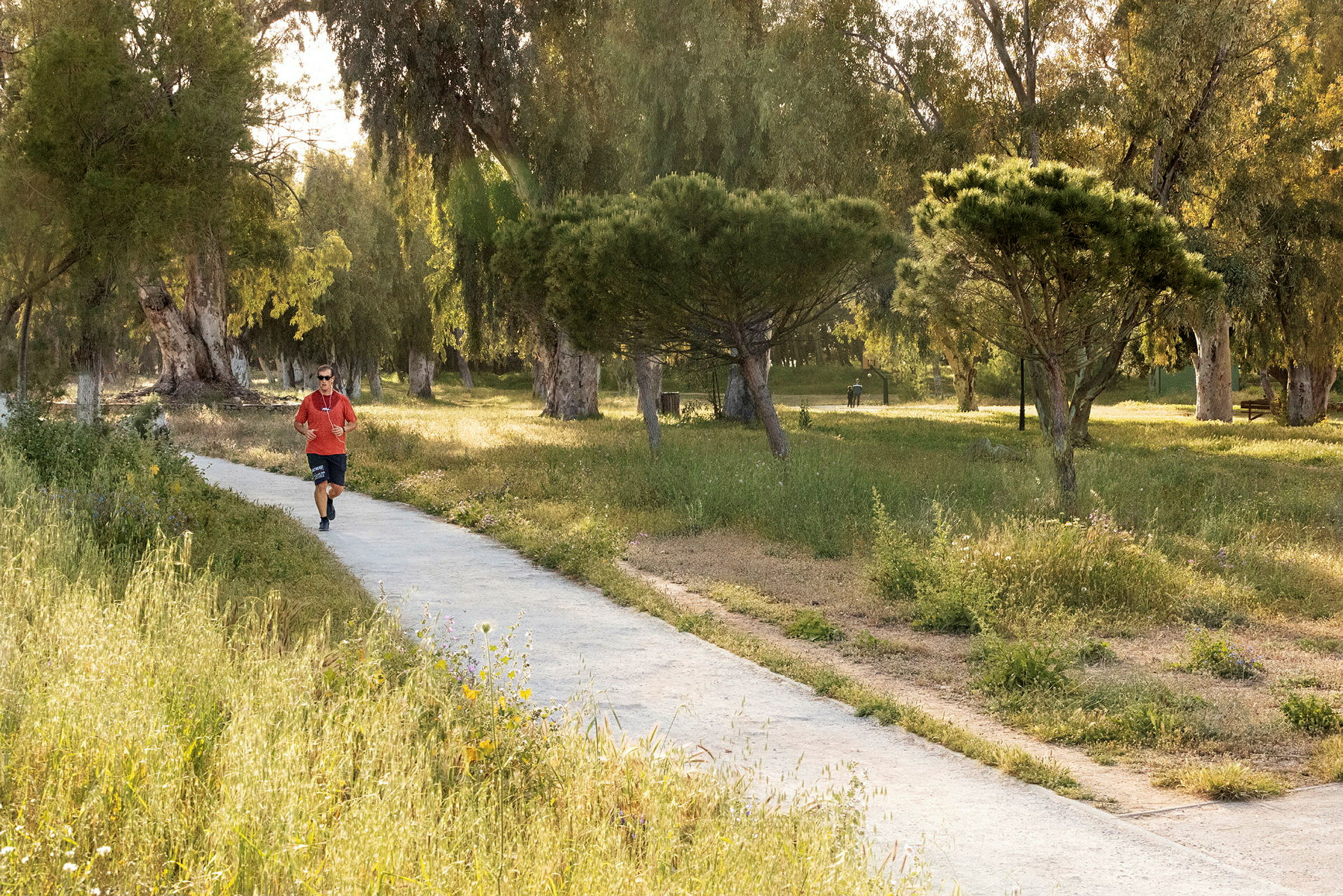 En person jogger på en gangvei gjennom en park med gress og trær. (AI-generert tekst)