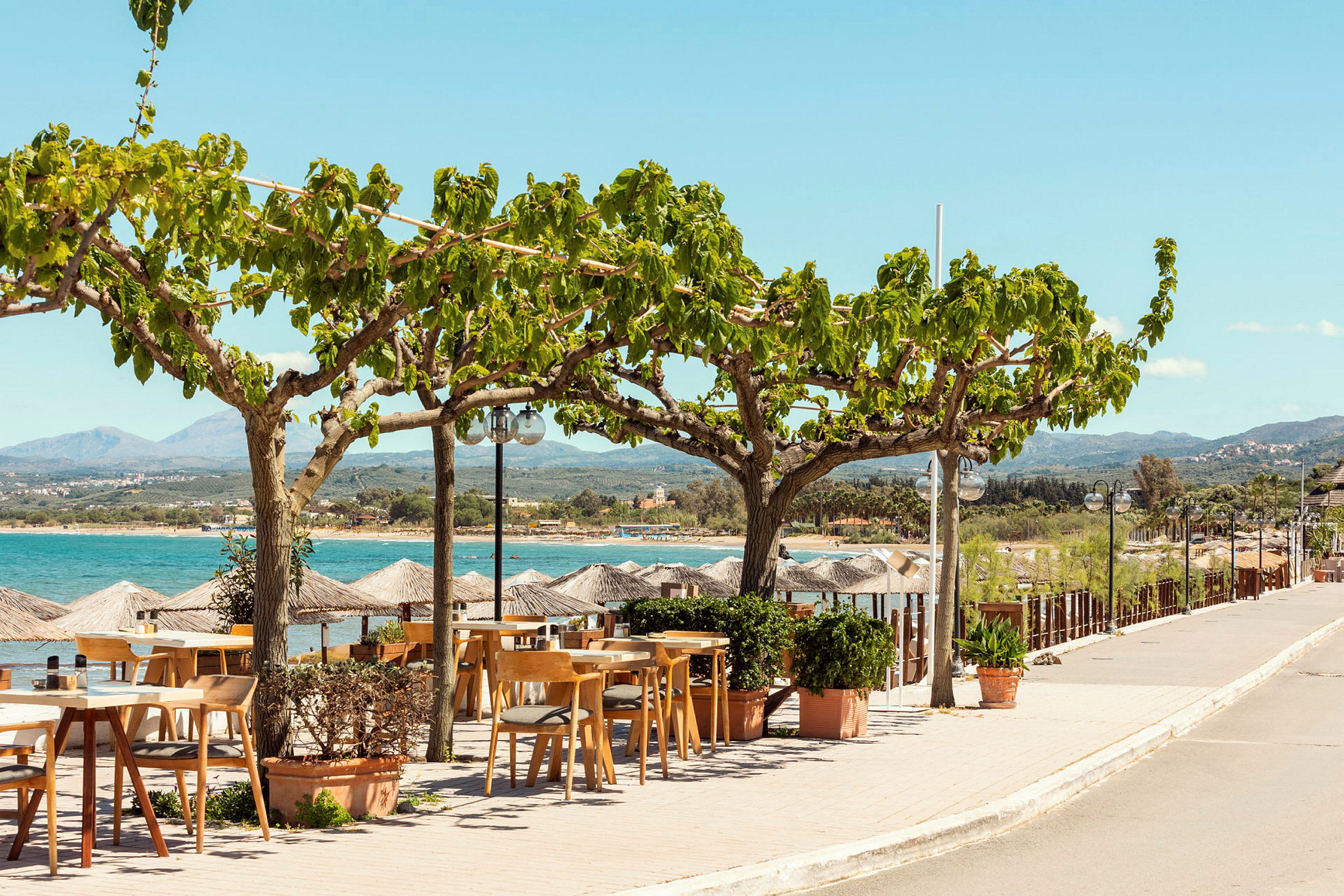 Utendørs restaurantbord under skyggefulle trær med havet i bakgrunnen. (AI-generert tekst)