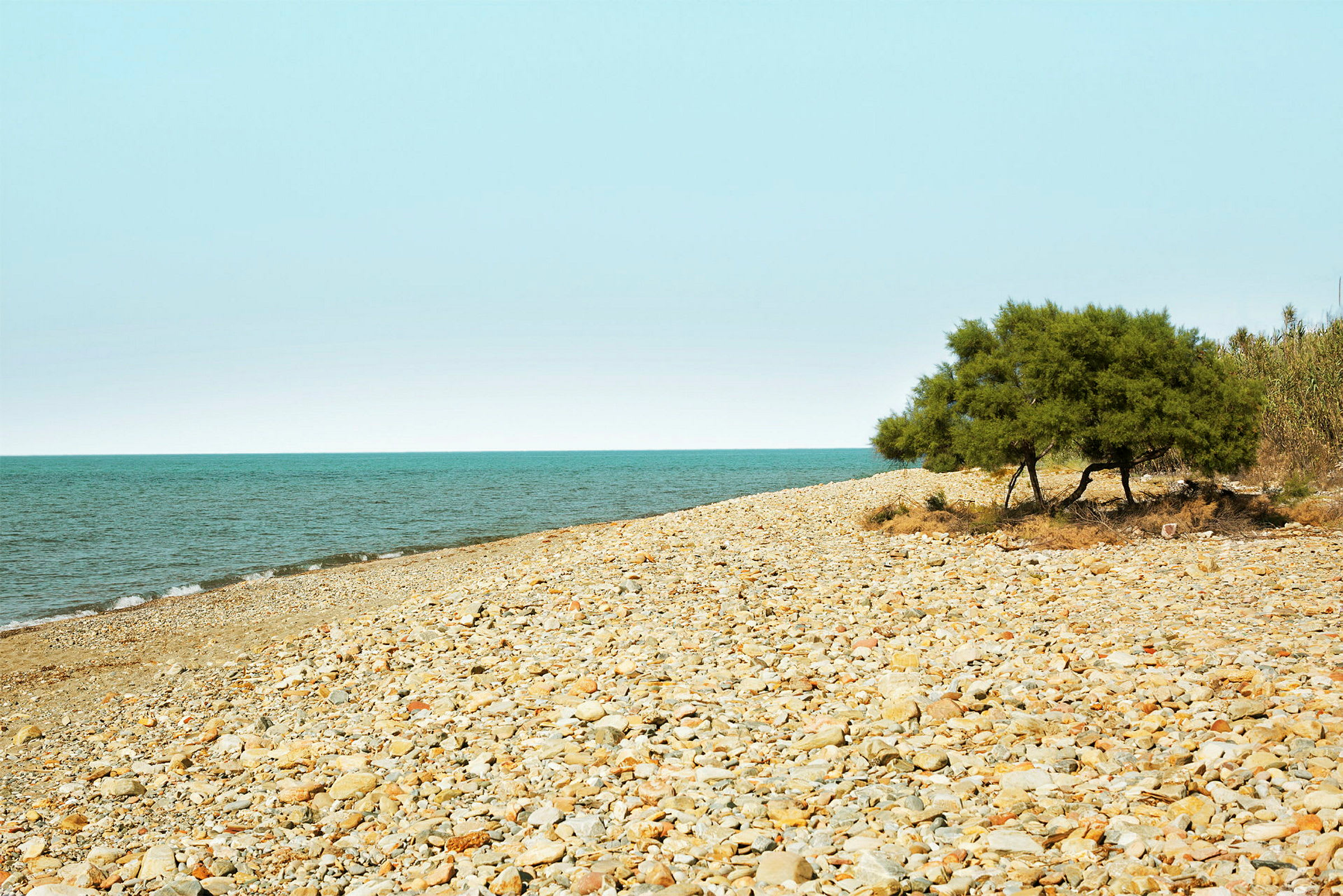 En steinstrand med et tre ved kanten og havet i bakgrunnen. (AI-generert tekst)