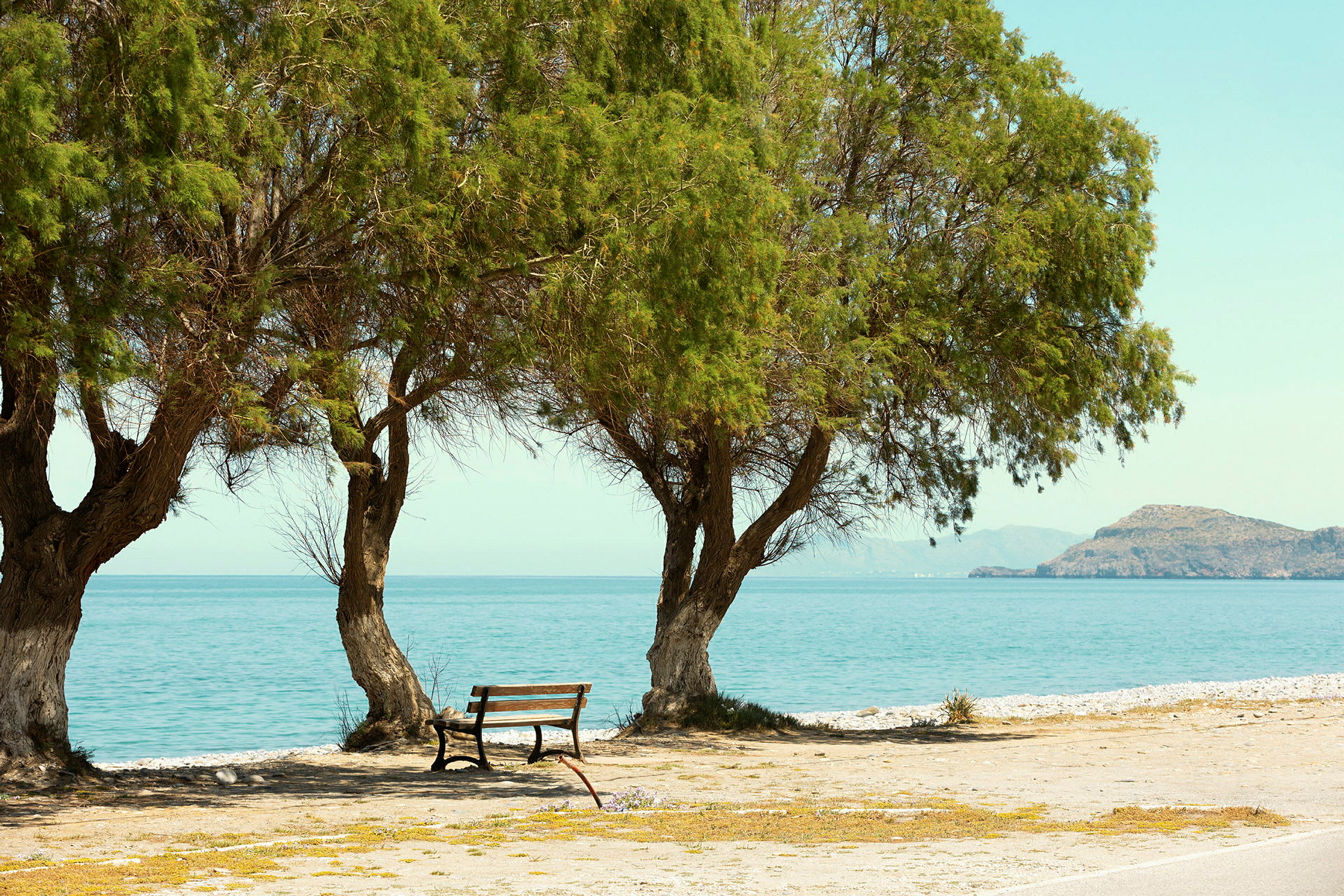 Strand med trær og en parkbenk, havet og en øy i bakgrunnen. (AI-generert tekst)