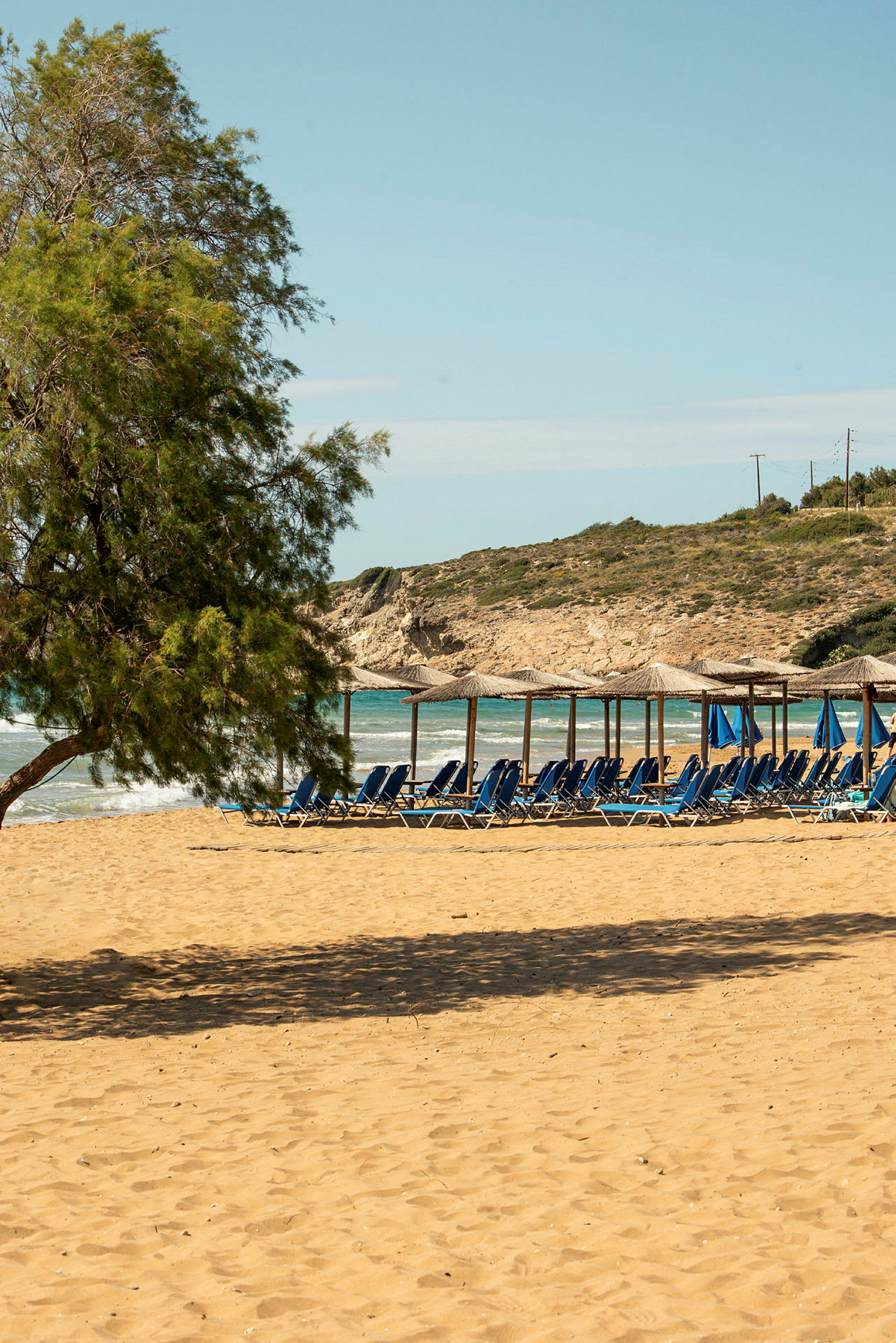 En strand med solsenger og parasoller, samt et tre i forgrunnen. (AI-generert tekst)