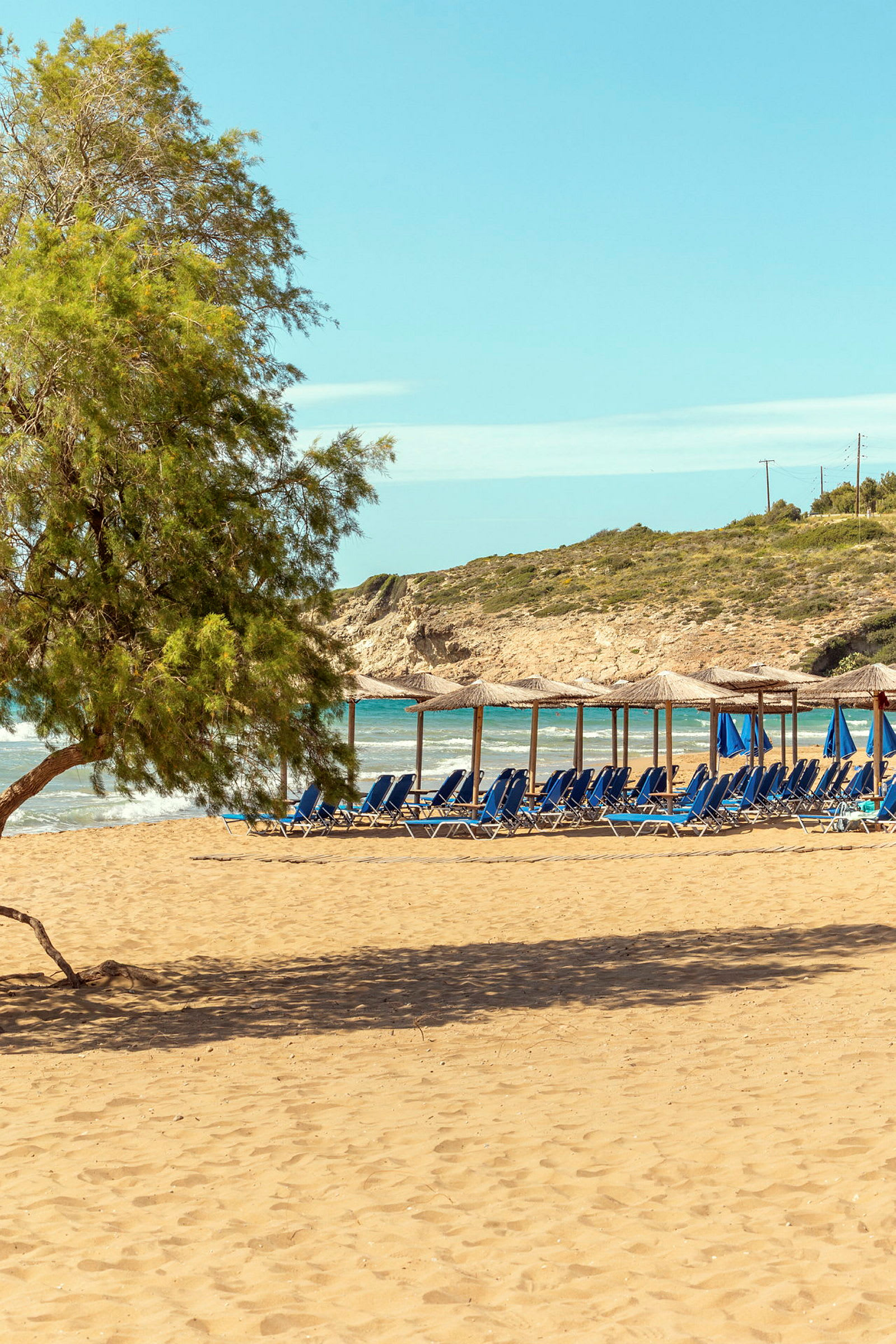 Strand med sand, parasoller og solsenger samt et tre i forgrunnen. (AI-generert tekst)