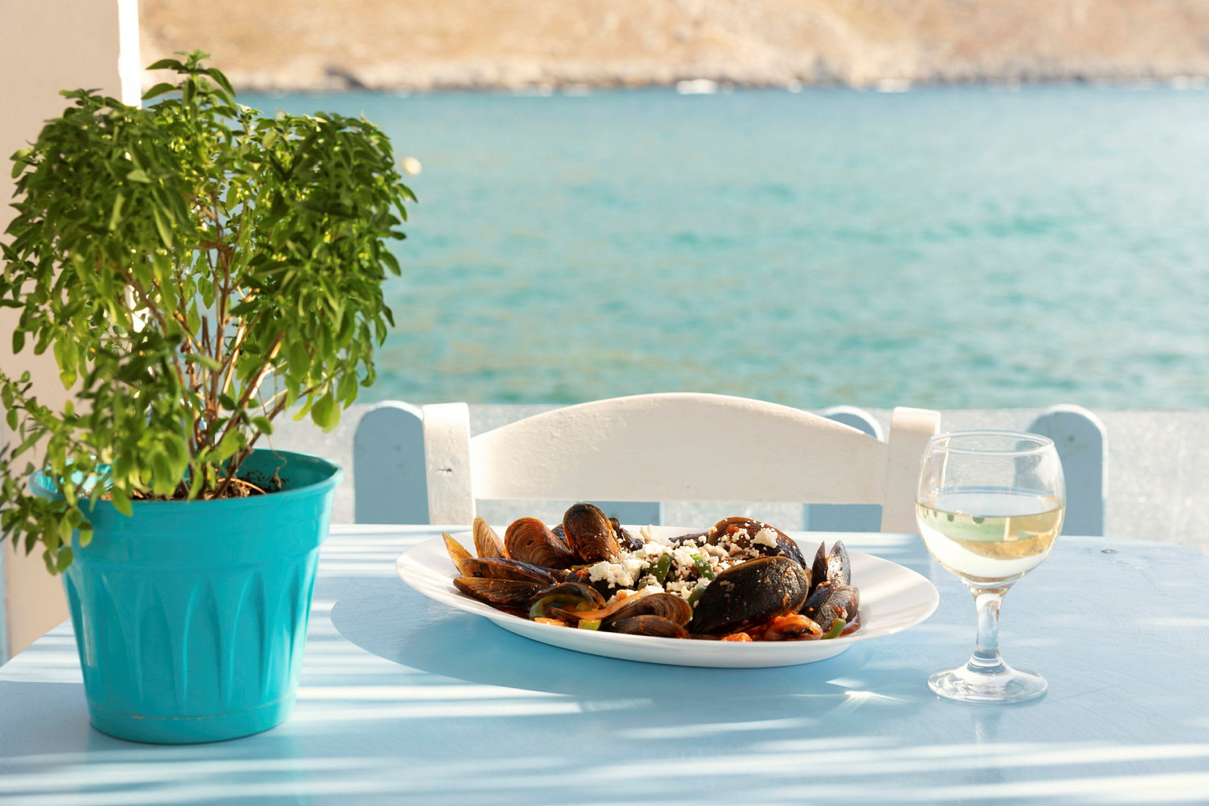 En tallerken med skalldyr og et glass hvitvin står på et bord ved siden av en grønn plante med havet i bakgrunnen. (AI-generert tekst)
