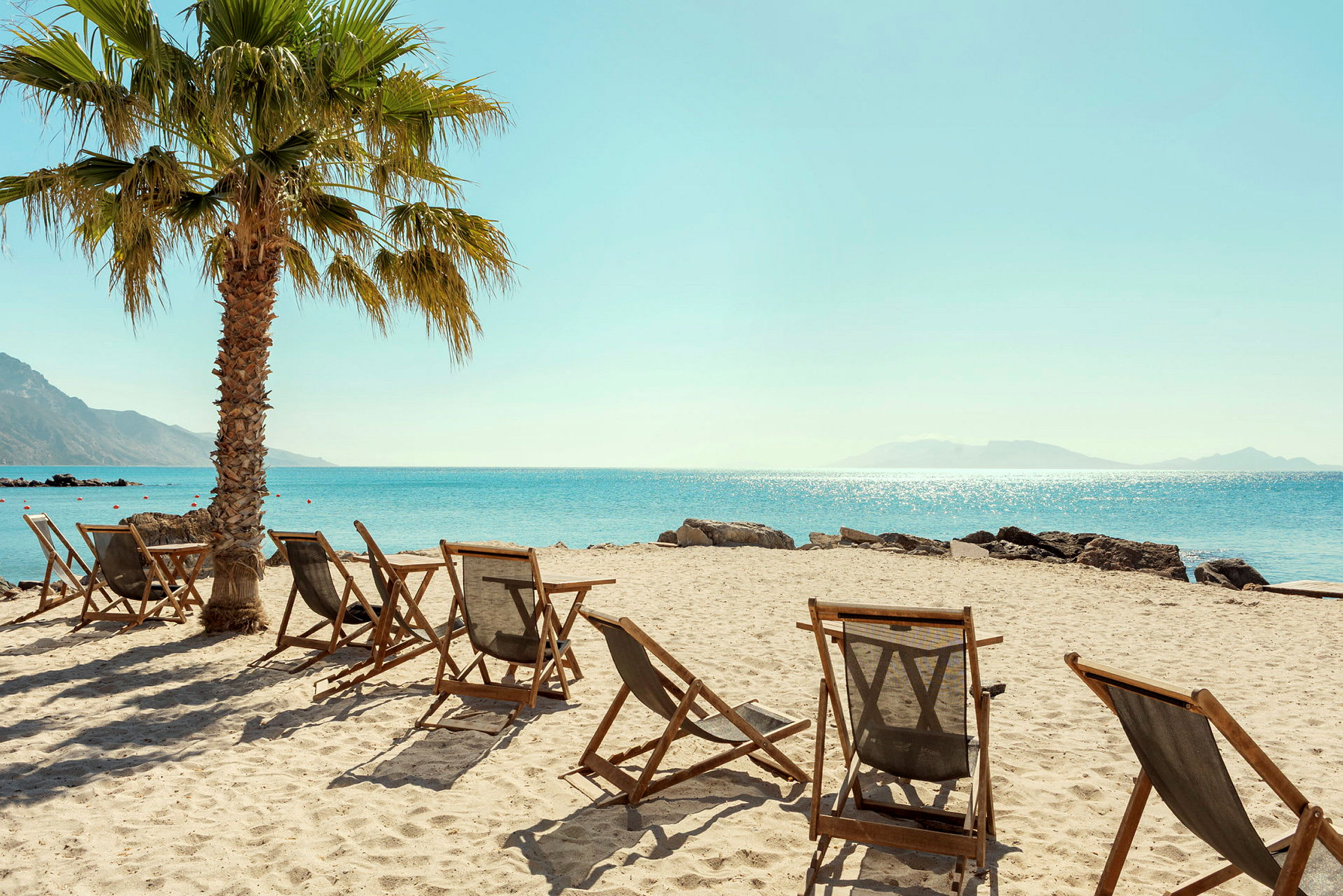 Solstoler på en sandstrand med en palme og utsikt over havet. (AI-generert tekst)
