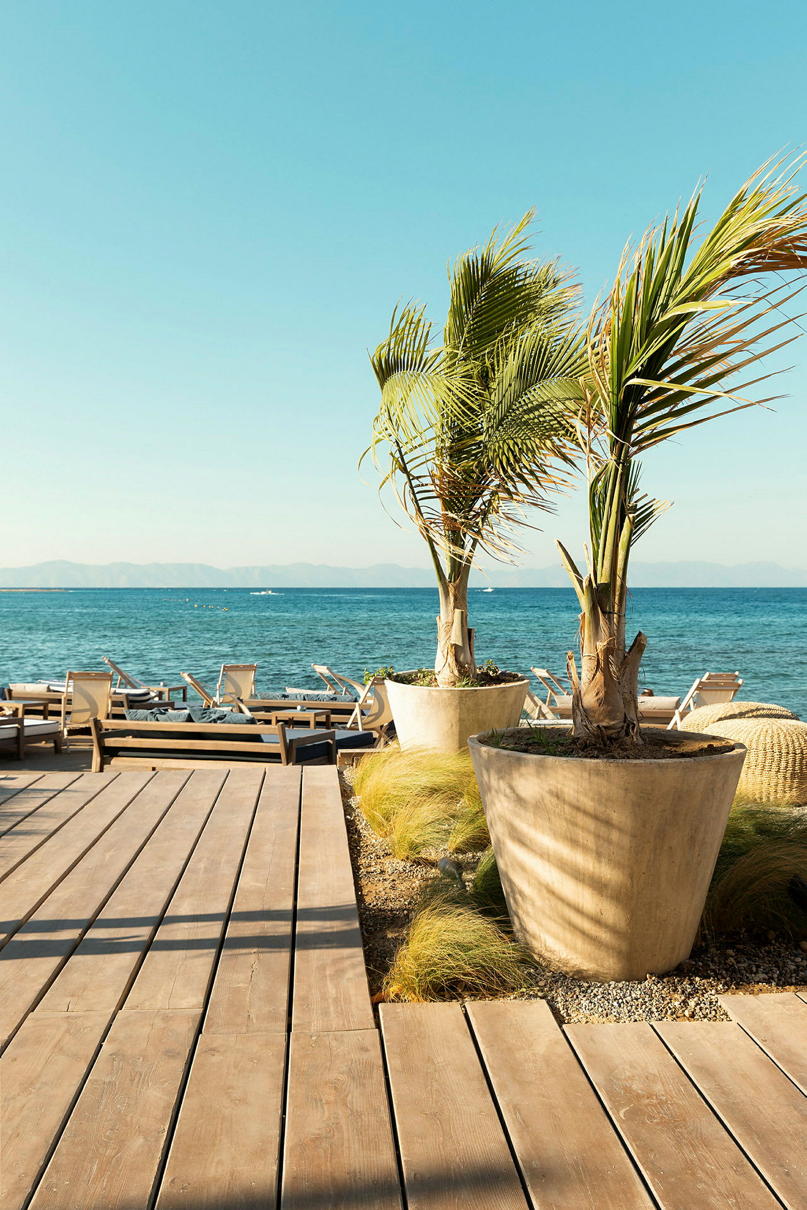 Treterrasse med beplantede palmer og solsenger i bakgrunnen ved havet. (AI-generert tekst)