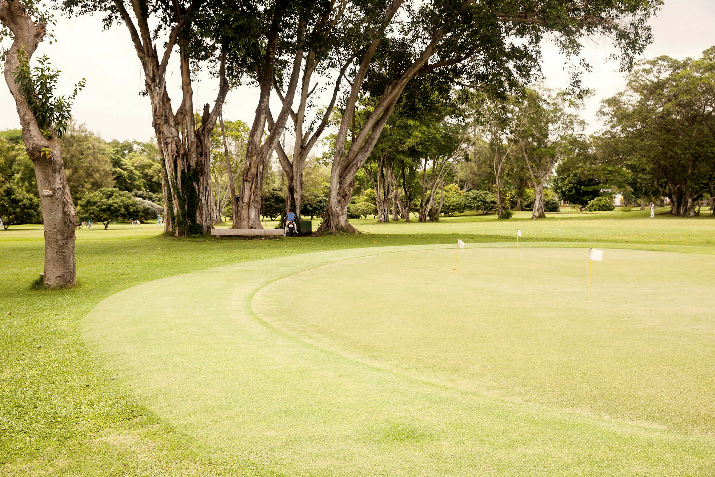 En velstelt golfgreen med flagg omkranset av grønt og trær. (AI-generert tekst)