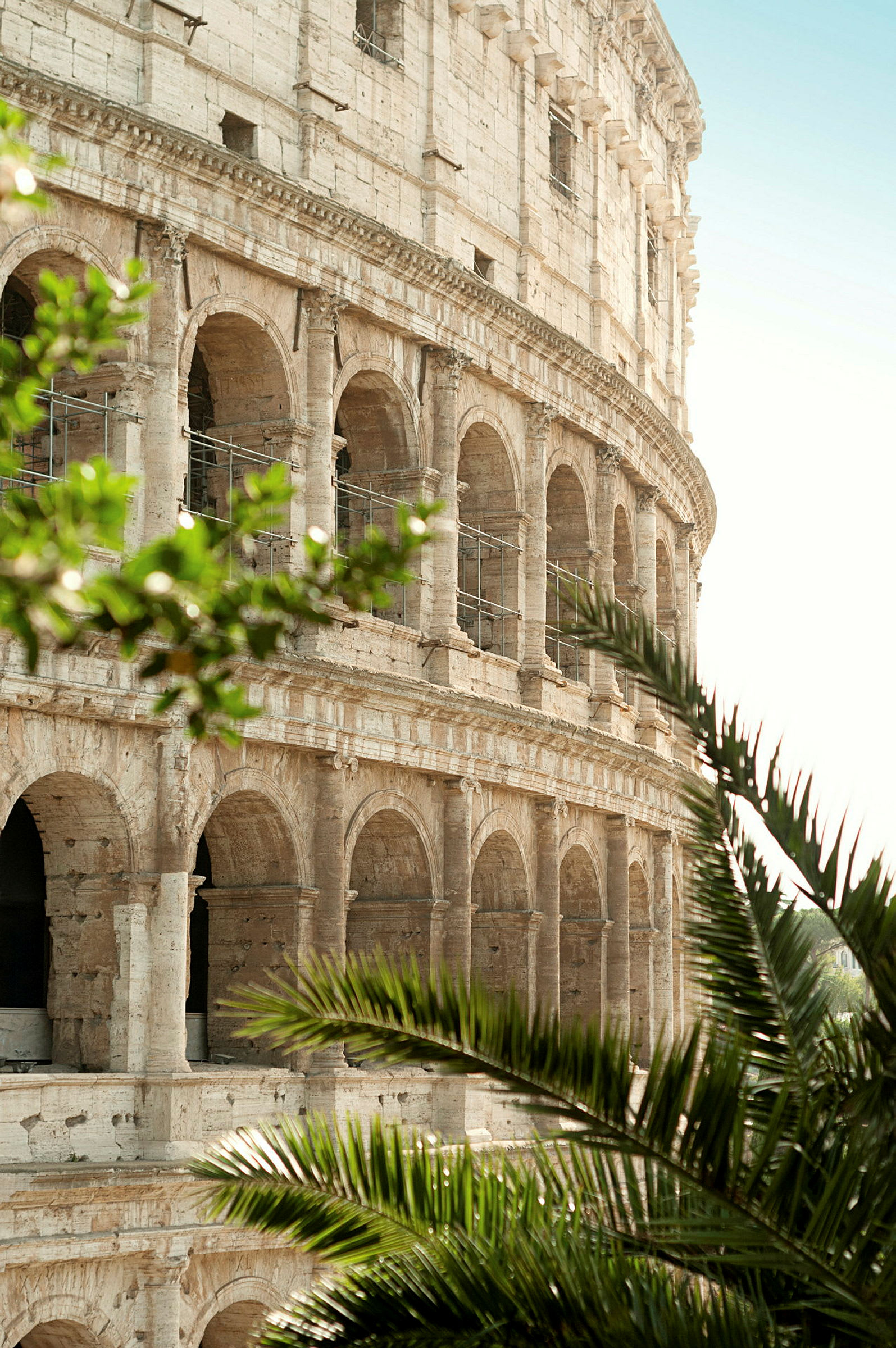 Colosseum i Roma med grønne planter i forgrunnen. (AI-generert tekst)