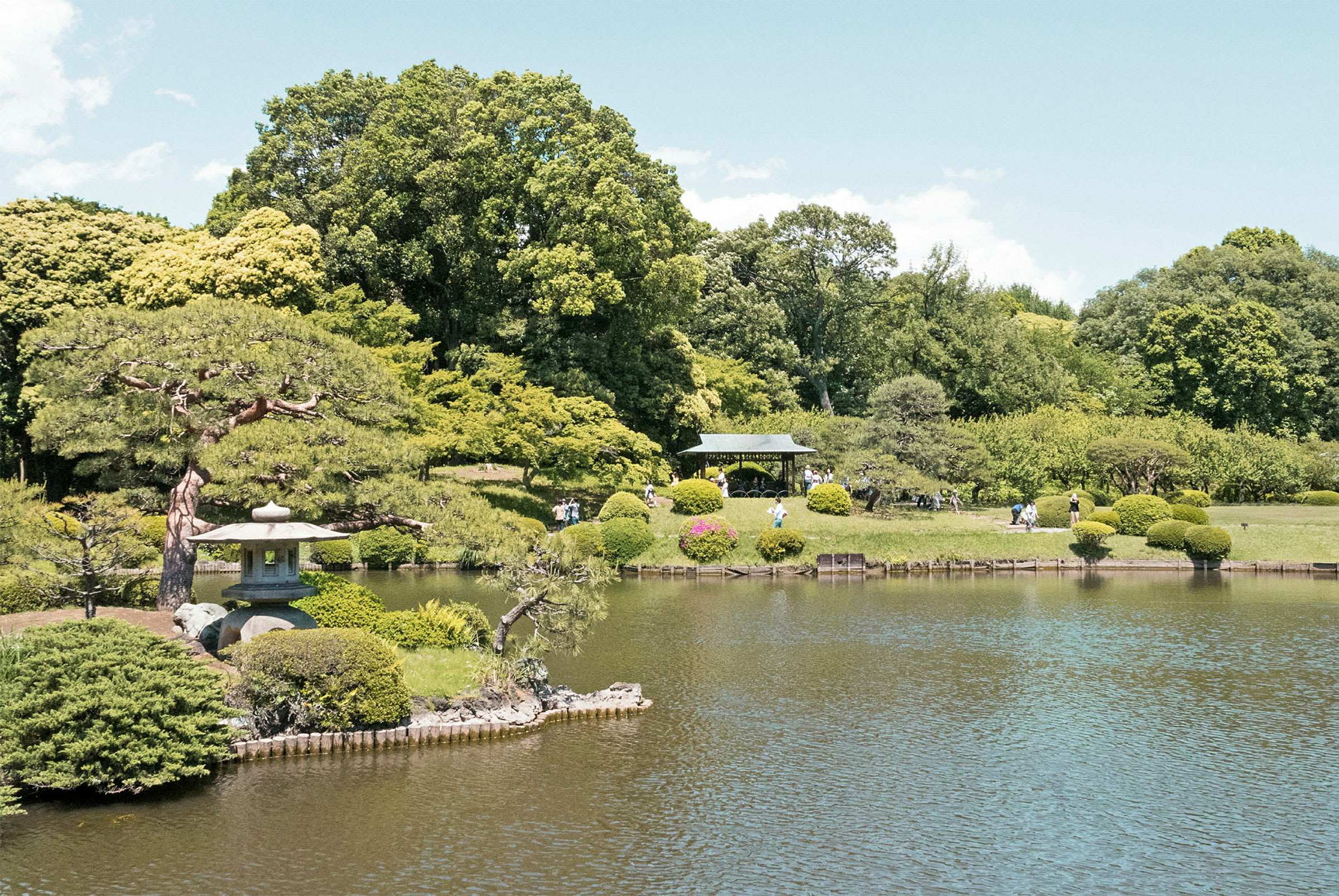 En rolig japansk hage med dam og omkringliggende vegetasjon. (AI-generert tekst)
