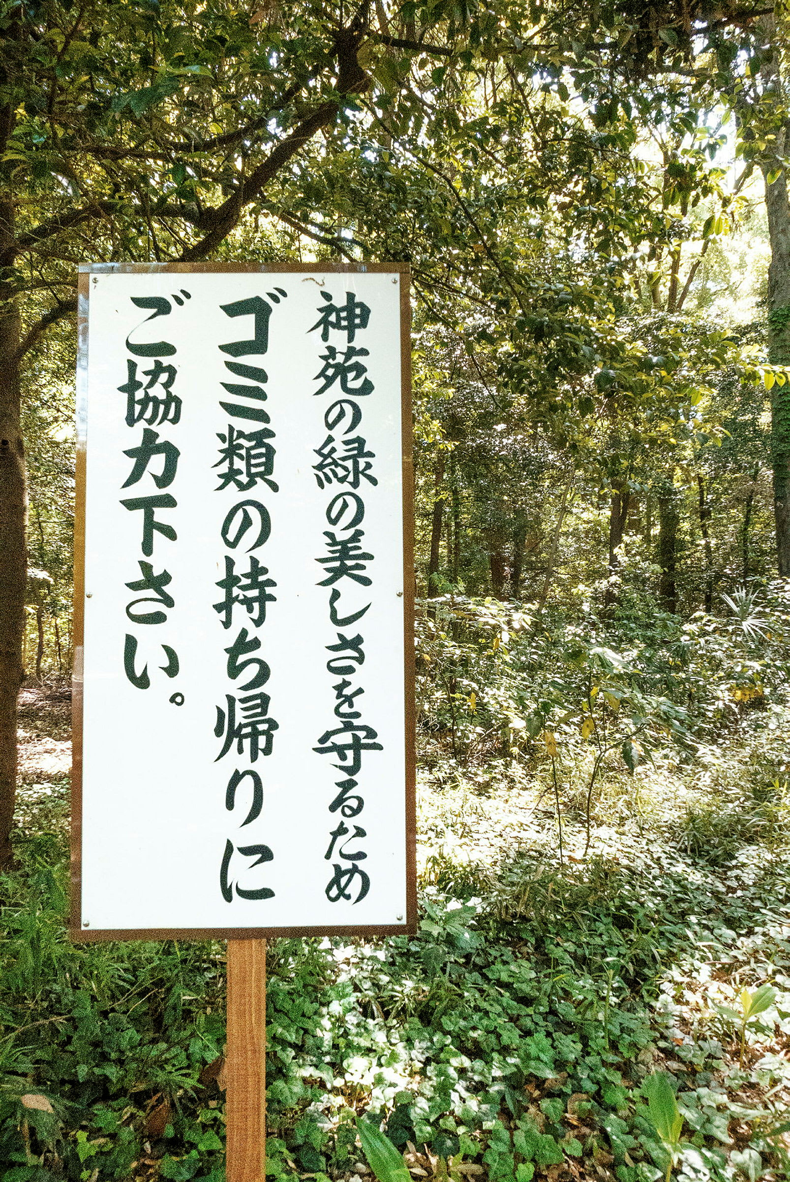 Et skilt med japansk tekst står i en grønn skog. (AI-generert tekst)