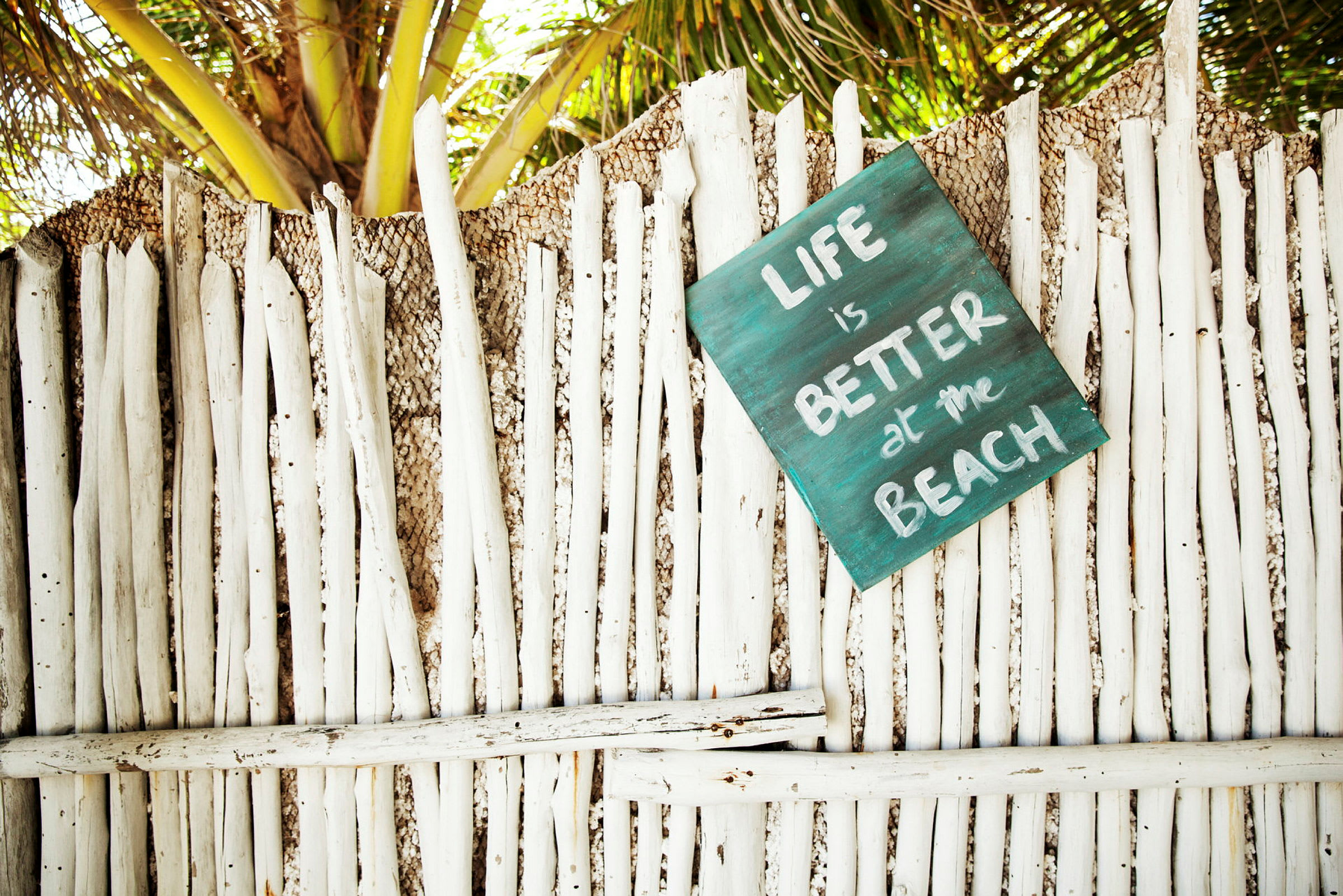 Et gjerde av hvite bambuspinner med et skilt som sier "Life is better at the Beach". I bakgrunnen vises palmeblader. (AI-generert tekst)