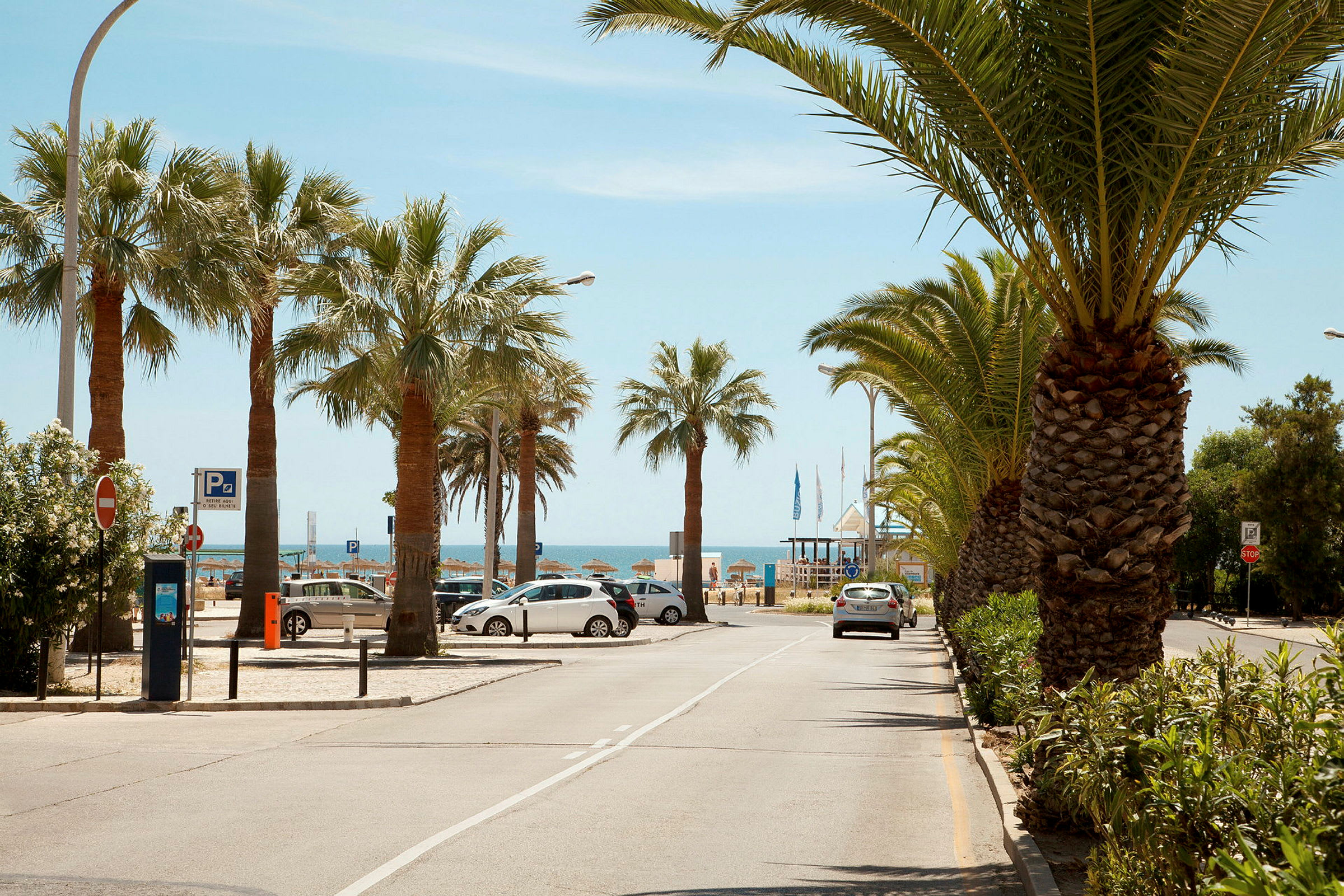 En strandpromenade med palmer og parkerte biler ved kysten. (AI-generert tekst)