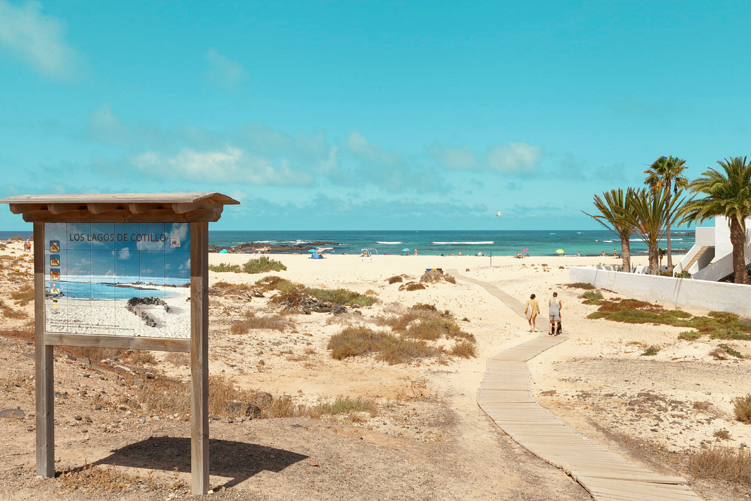Bilde av en sandstrand med et skilt for stranden Los Lagos de Cotillo i forgrunnen. En gangvei fører ned til havet, omgitt av sanddyner og palmer. (AI-generert tekst)