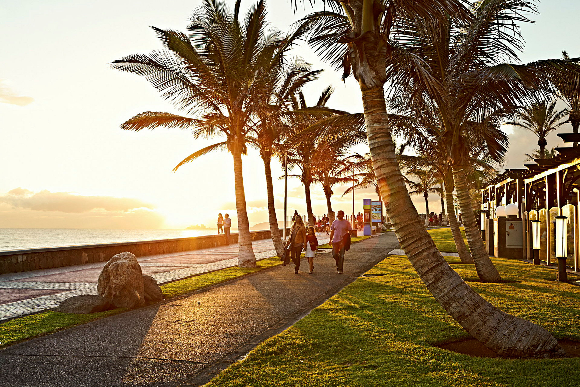 En spasertur ved stranden med palmer ved solnedgang. (AI-generert tekst)