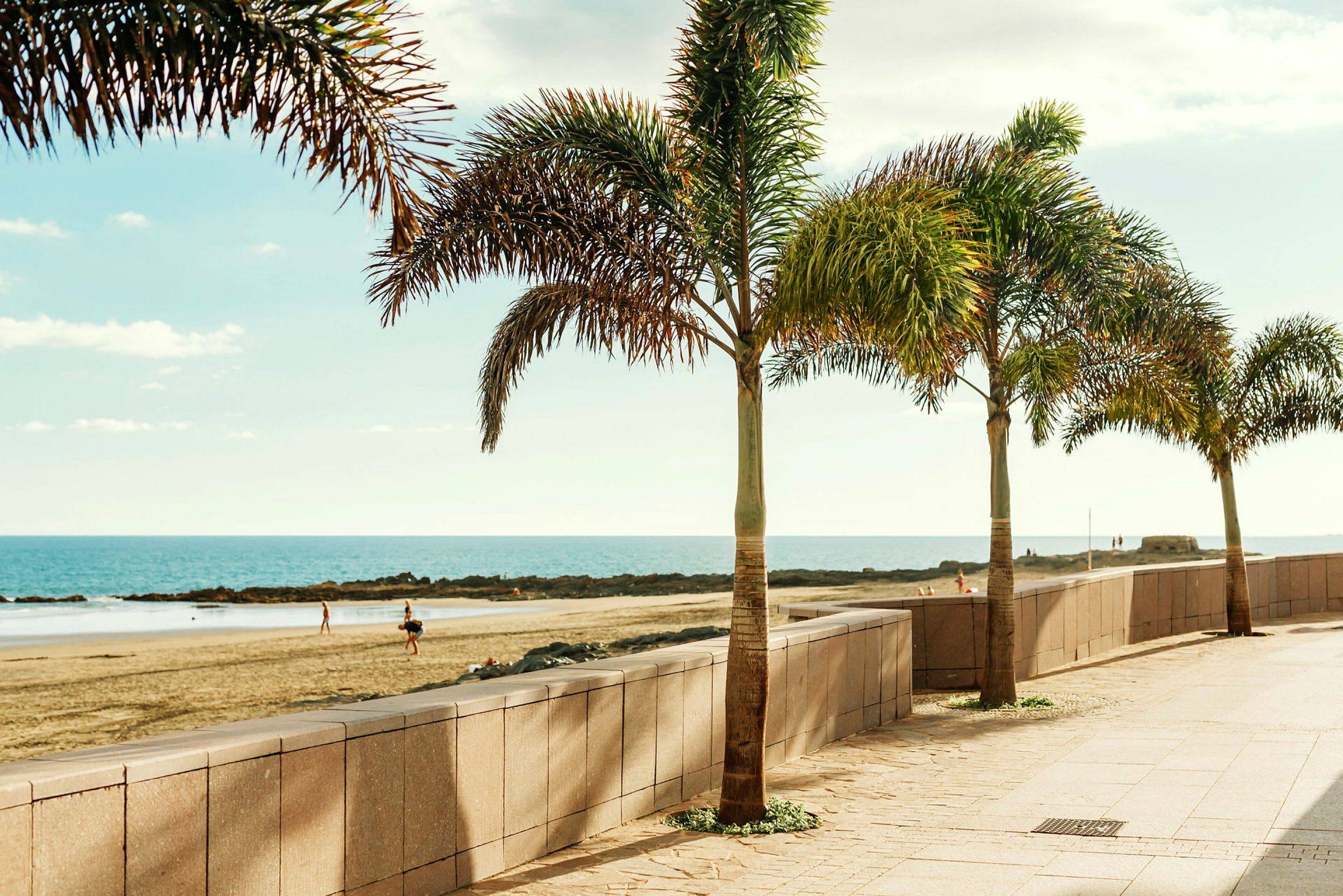 Palmer langs en strandpromenade ved havet. (AI-generert tekst)