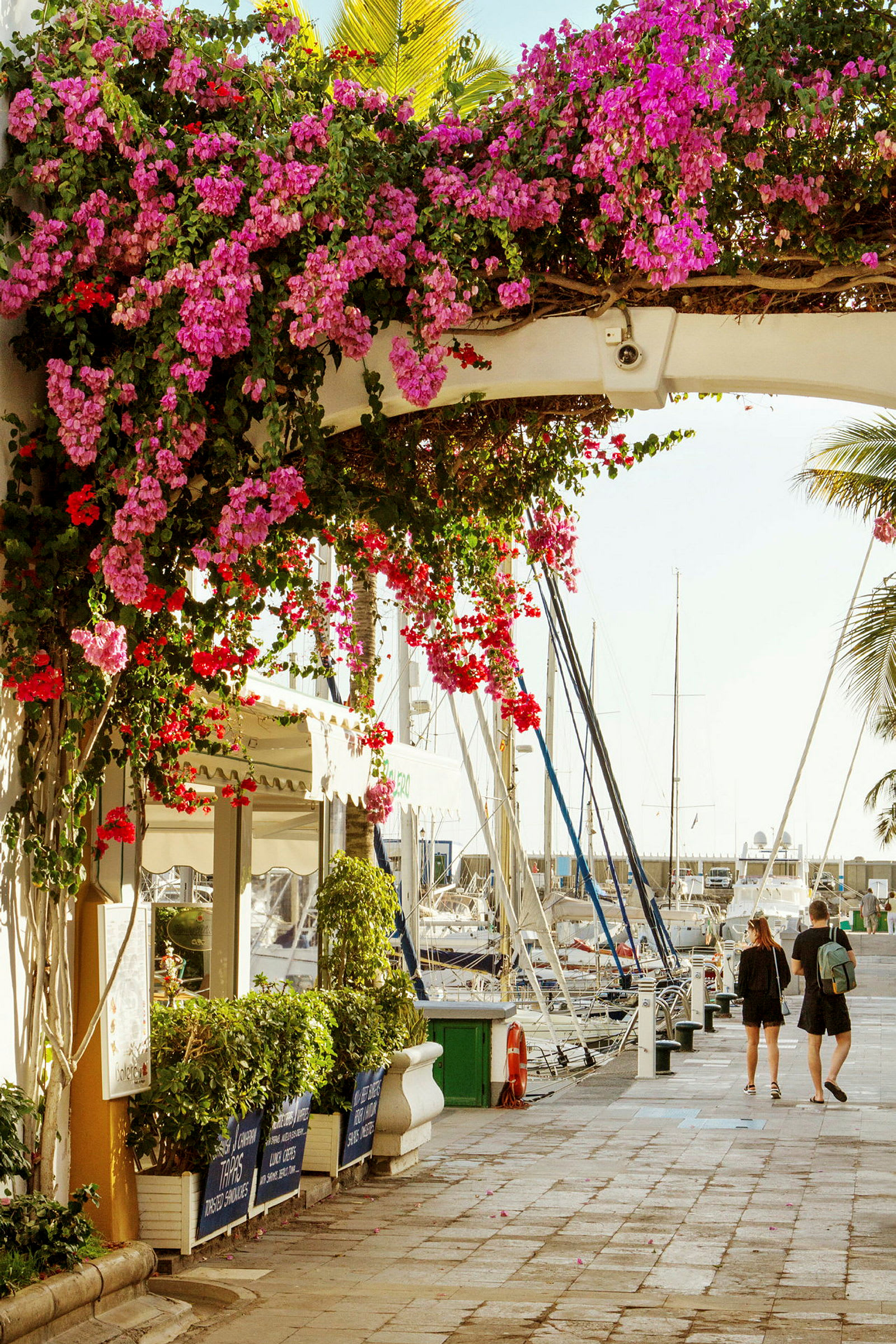 Havnepromenade med blomster og båter ved kaien. (AI-generert tekst)