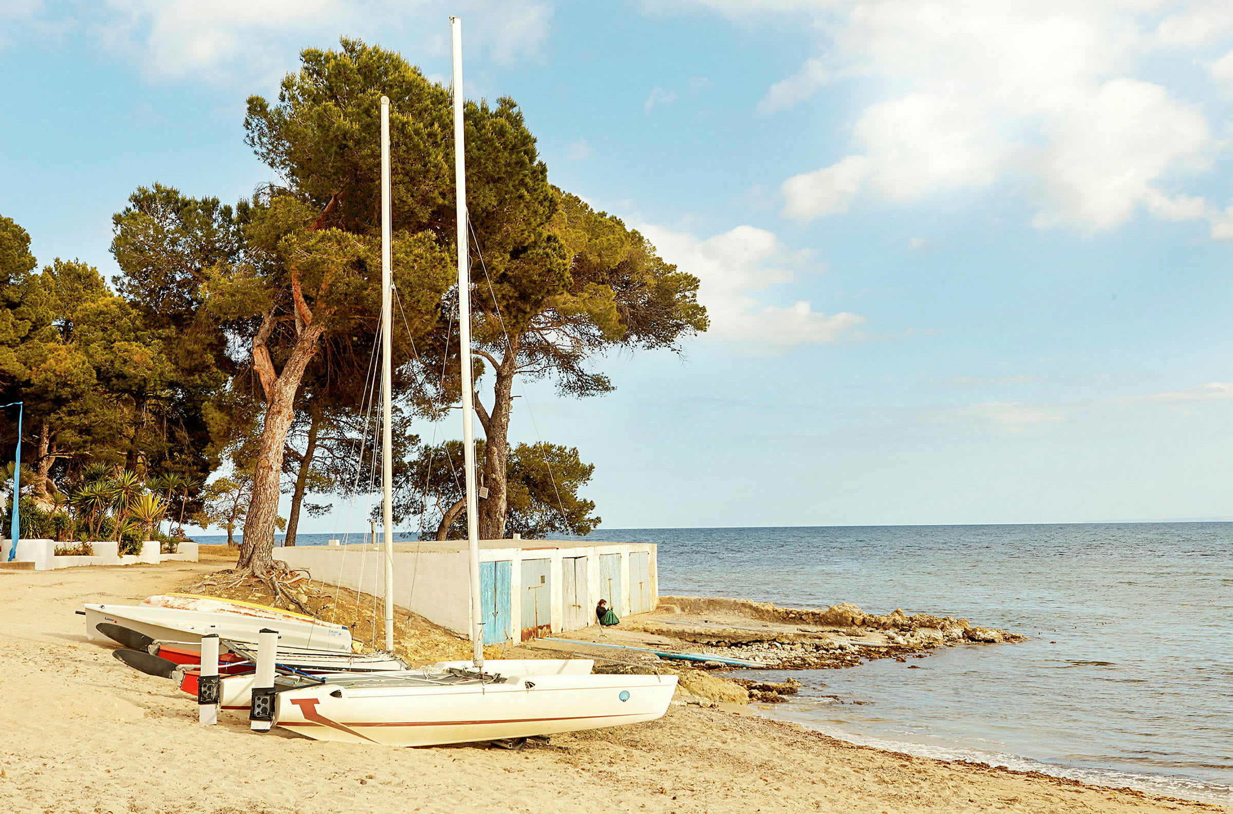 Strand med seilbåter og furutrær i bakgrunnen. (AI-generert tekst)