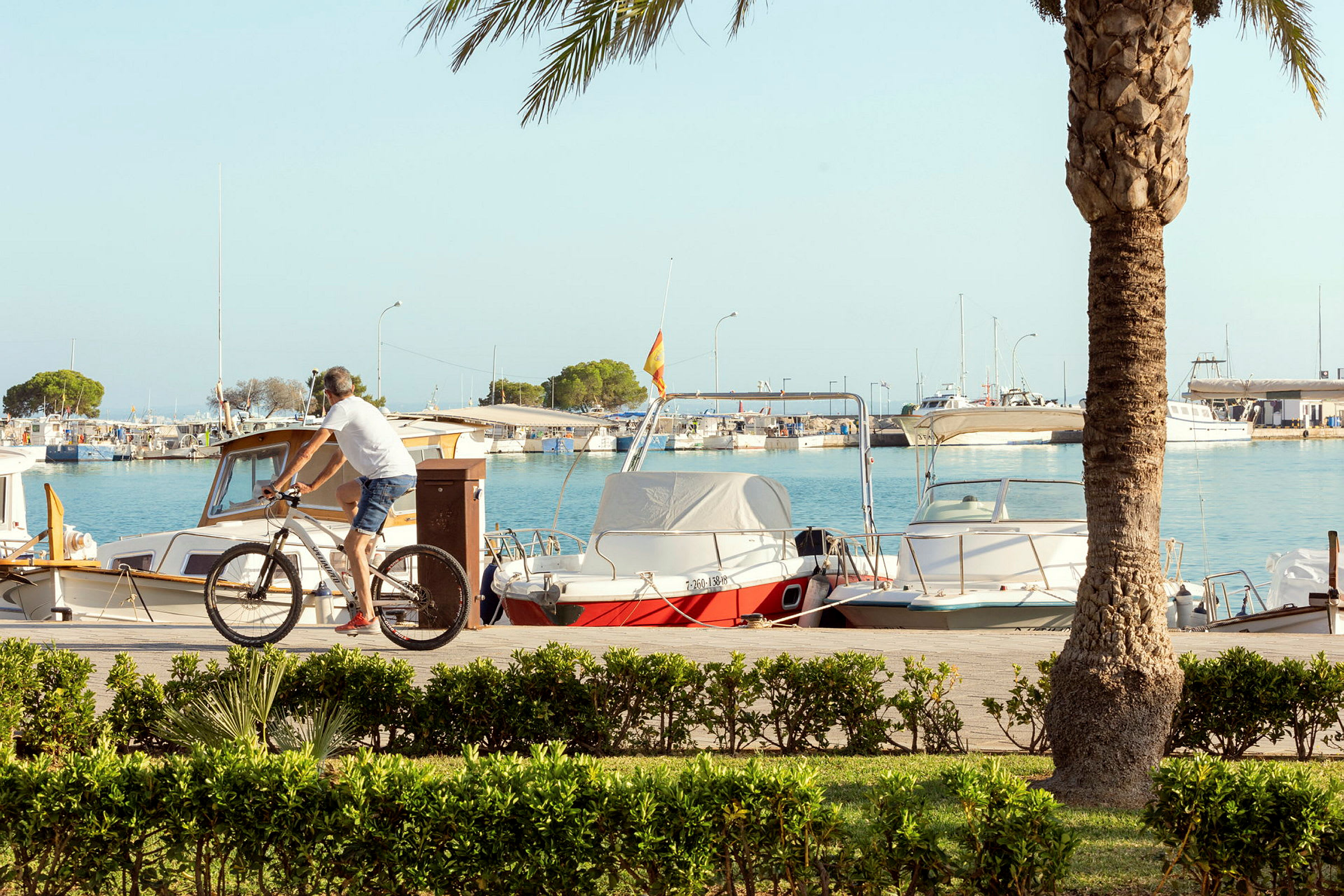 Port d'Alcúdia