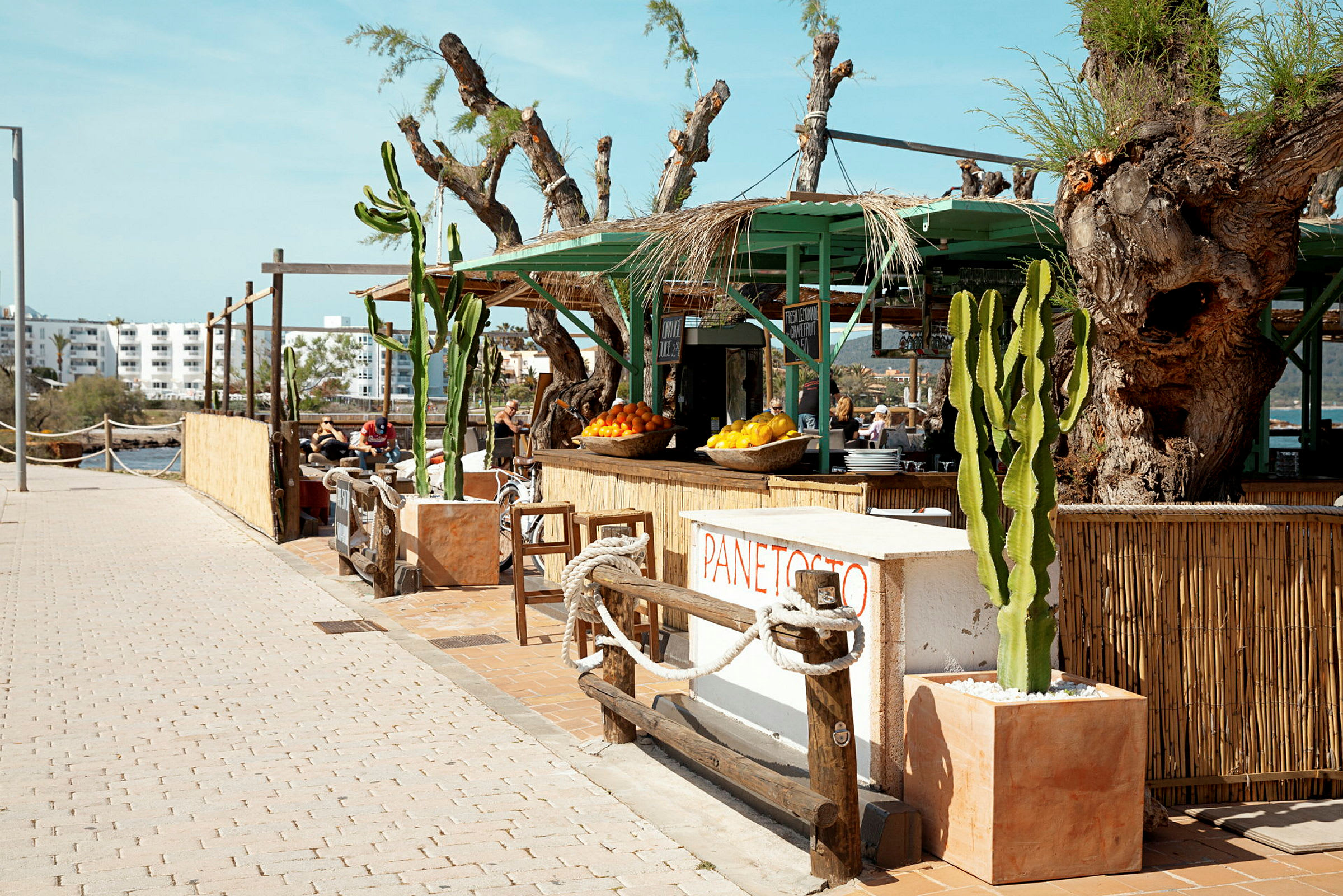 En strandnær restaurant med grønne detaljer, kaktuser og frukt i skåler. (AI-generert tekst)