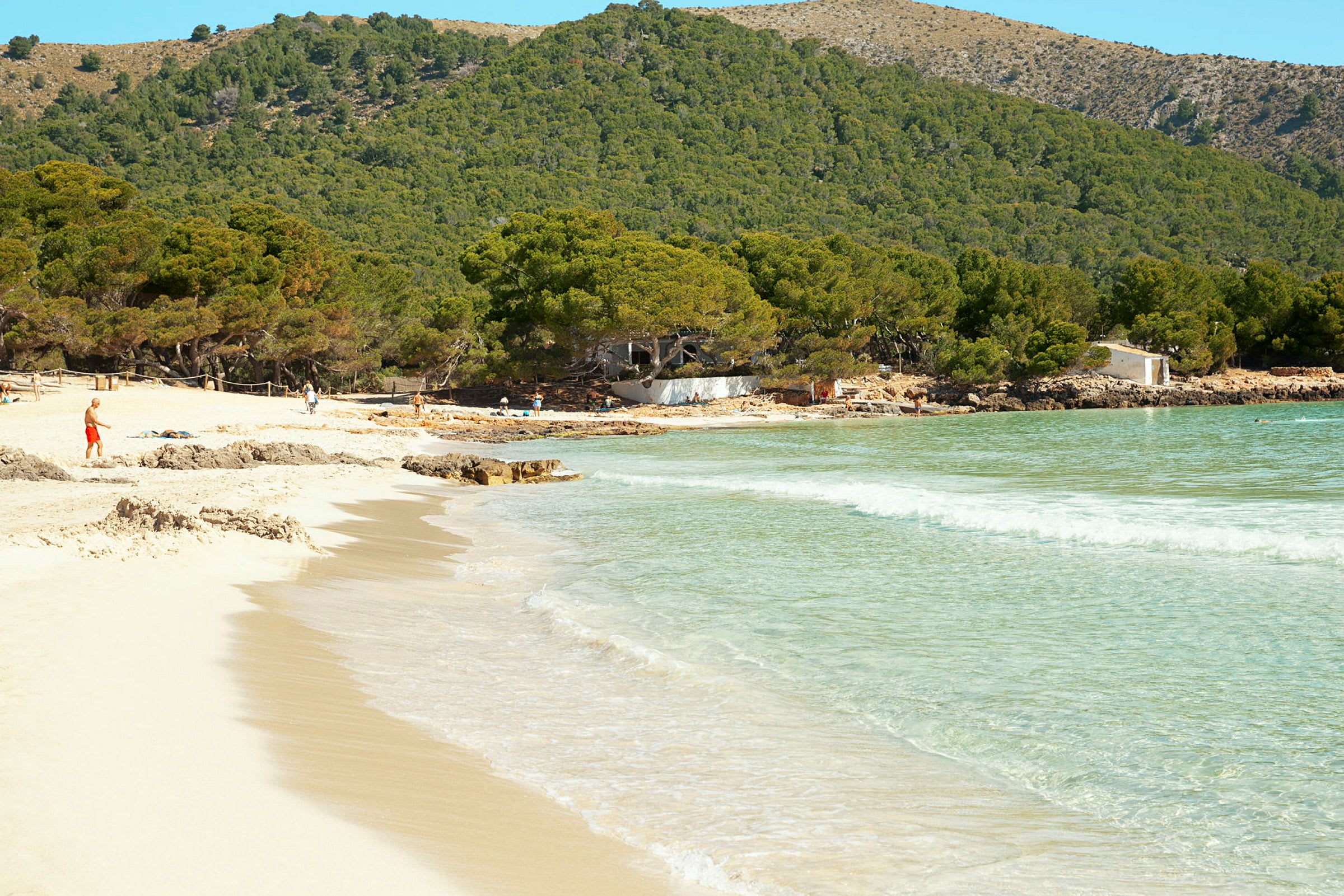 Strand med lys sand, klart vann og grønne trær i bakgrunnen. (AI-generert tekst)