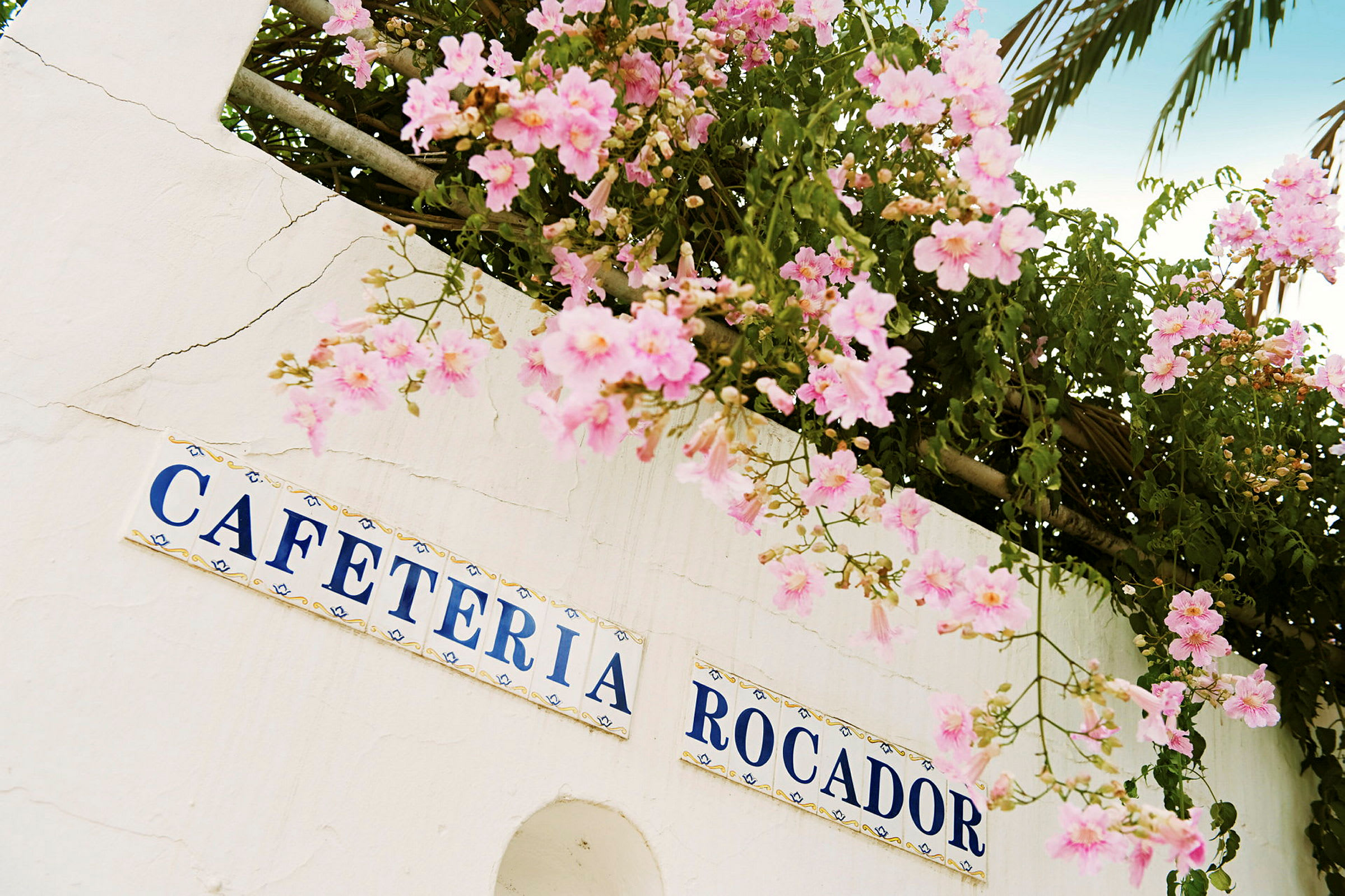 Veggen med skilt som viser teksten 'CAFETERIA ROCADOR', dekorert med hengende rosa blomster. (AI-generert tekst)