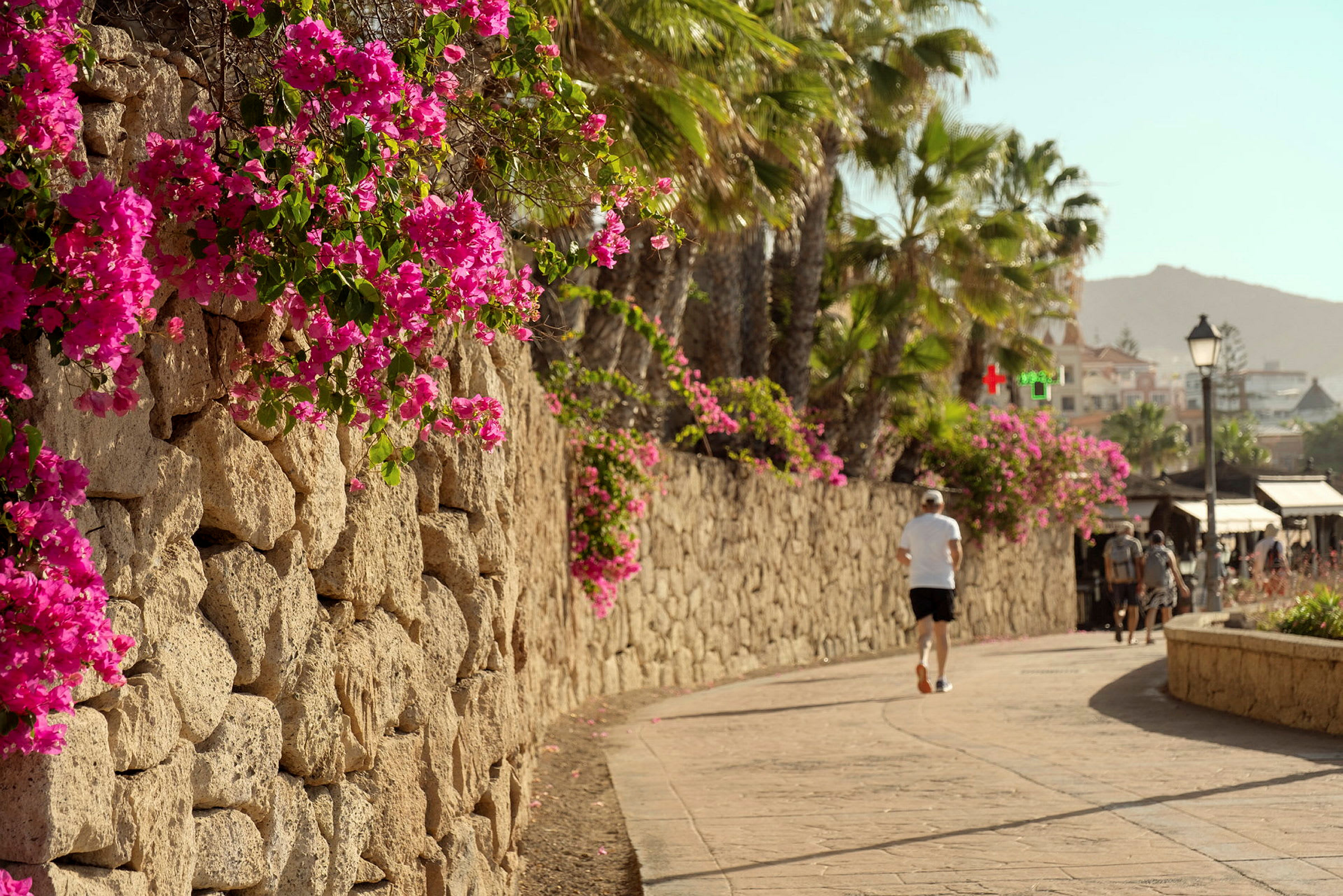 En steinmur med blomstrende rosa blomster ved en gangvei. (AI-generert tekst)