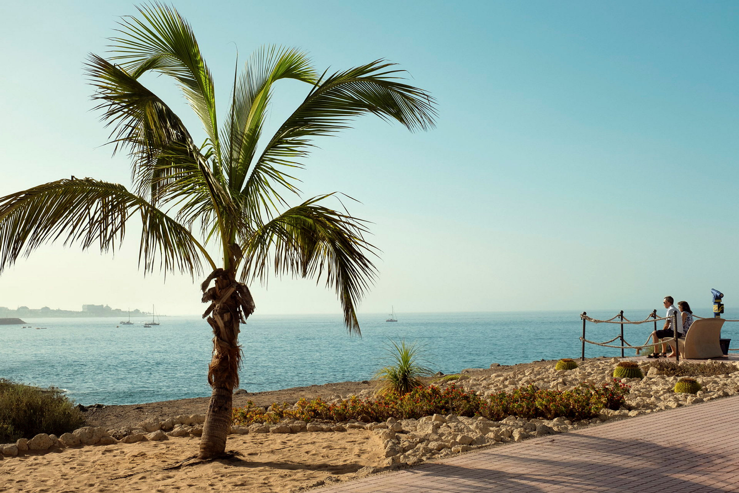 En palme i forgrunnen foran et hav med seilbåter og mennesker som sitter på benker ved strandpromenaden. (AI-generert tekst)