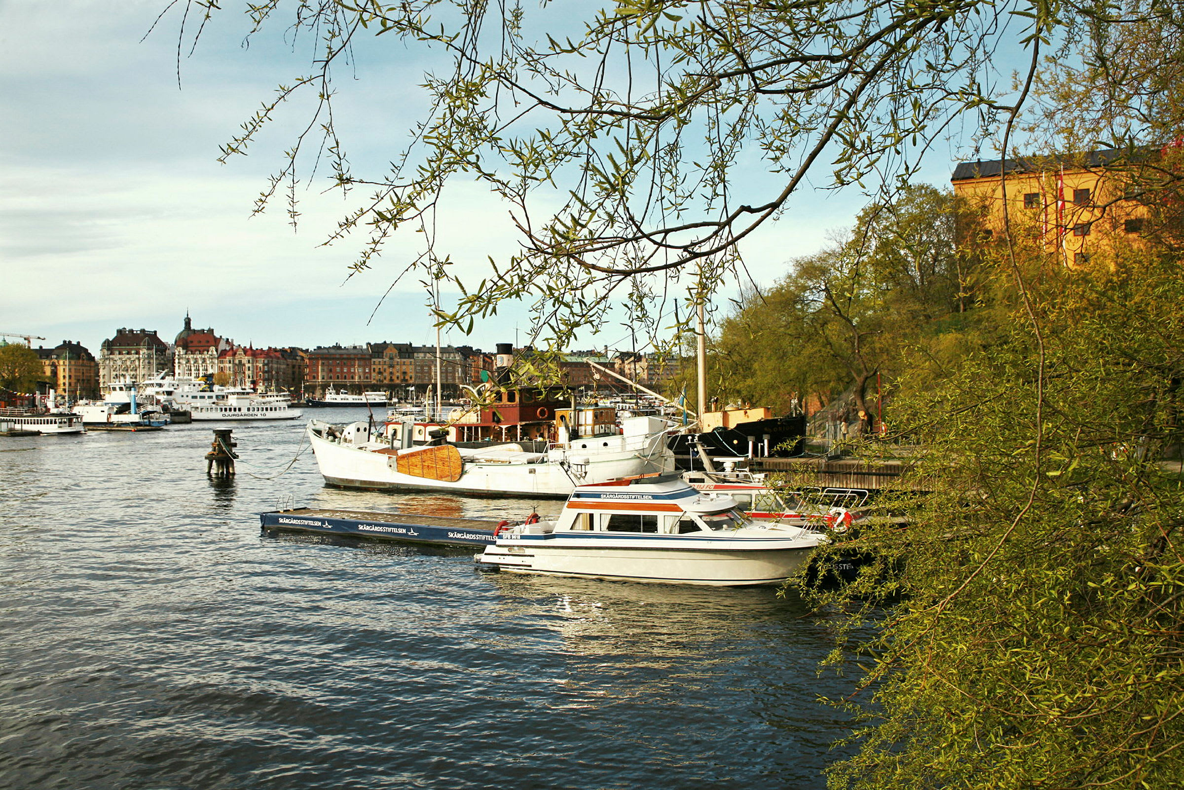 En havn med båter og en by i bakgrunnen samt tregrener i forgrunnen. (AI-generert tekst)