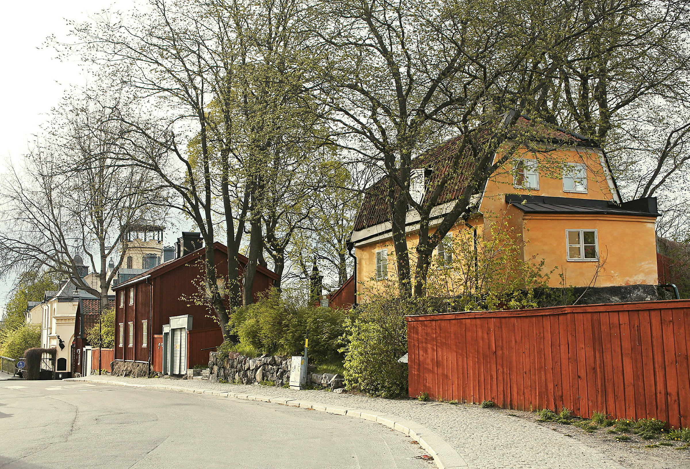 En landevei som går forbi trehus, med trær og busker rundt. (AI-generert tekst)