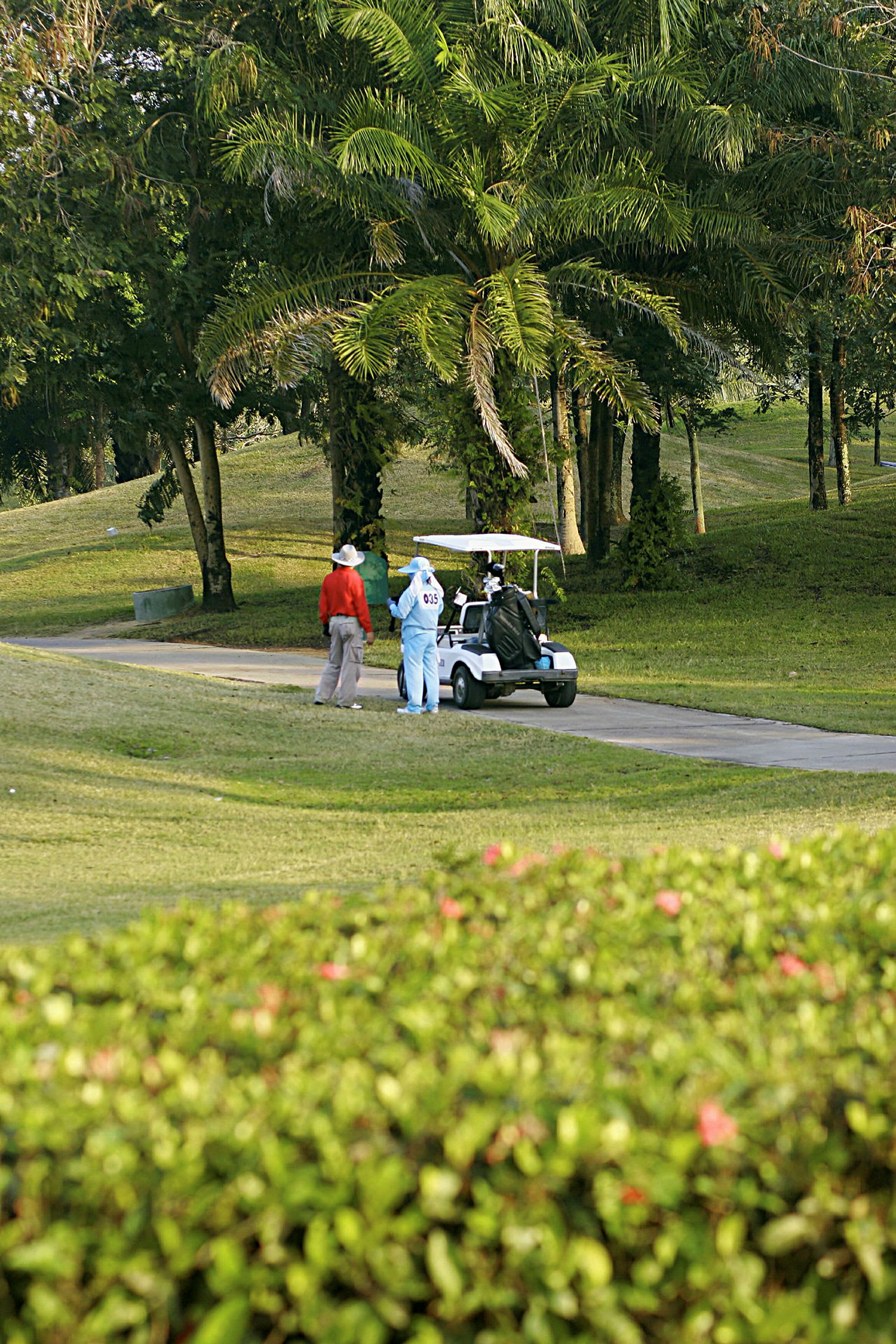 To personer står ved en golfbil på en golfbane med trær i bakgrunnen. (AI-generert tekst)