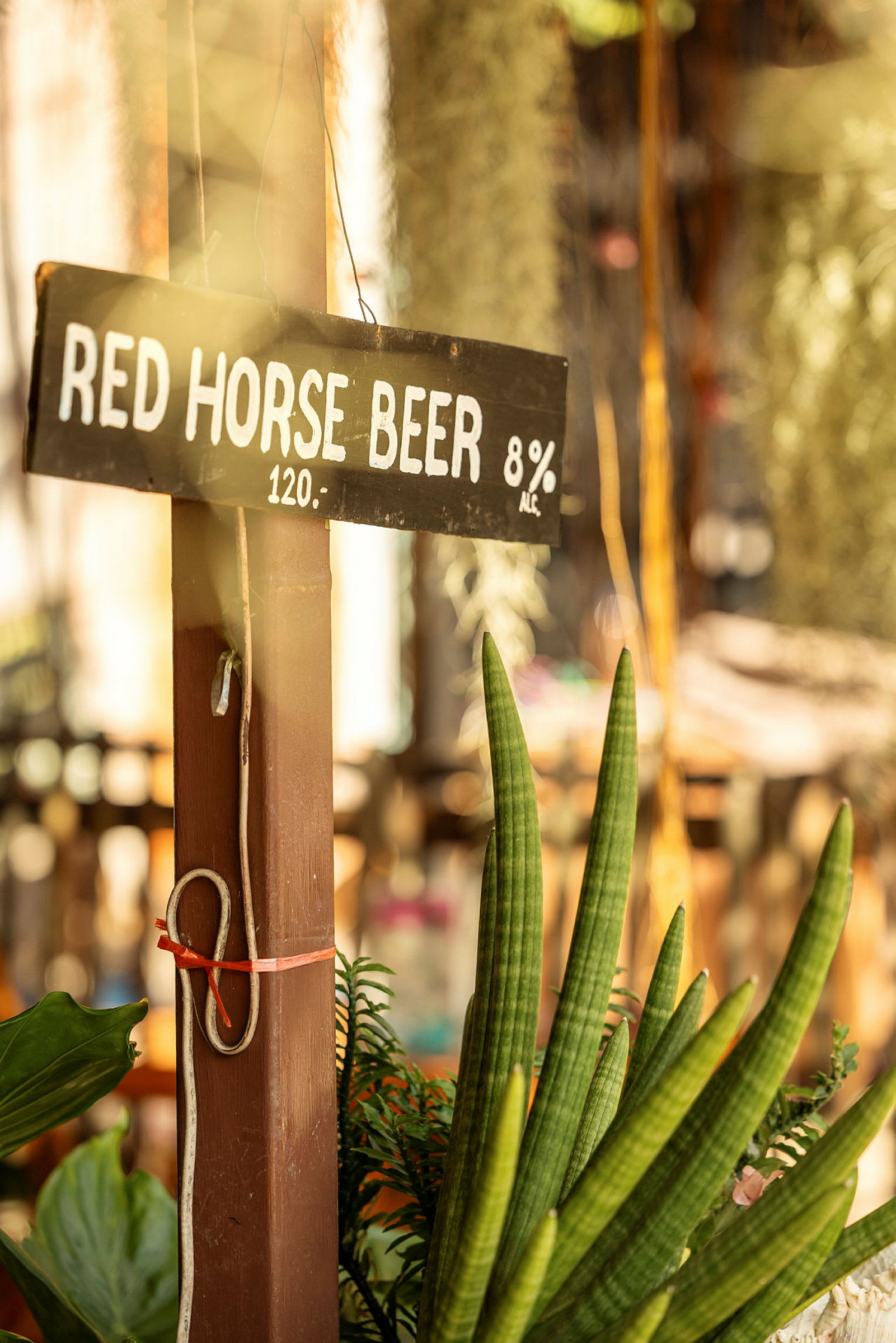 En treskilt med teksten 'Red Horse Beer 8% Alc. 120' er montert på en stolpe, omgitt av planter. (AI-generert tekst)