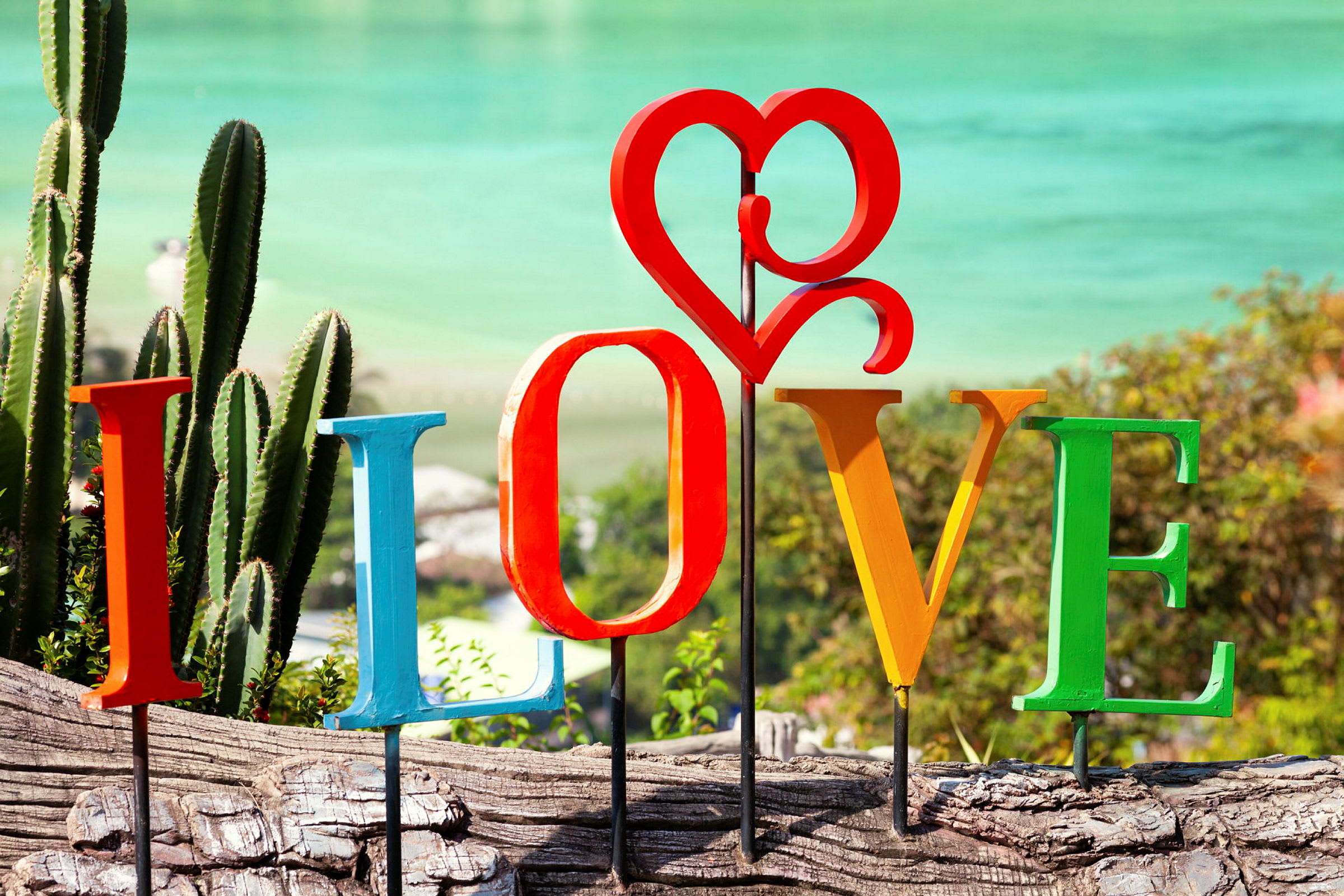 Dekorative bokstaver som danner ordet 'LOVE' foran blomster, kaktuser og en strand. (AI-generert tekst)