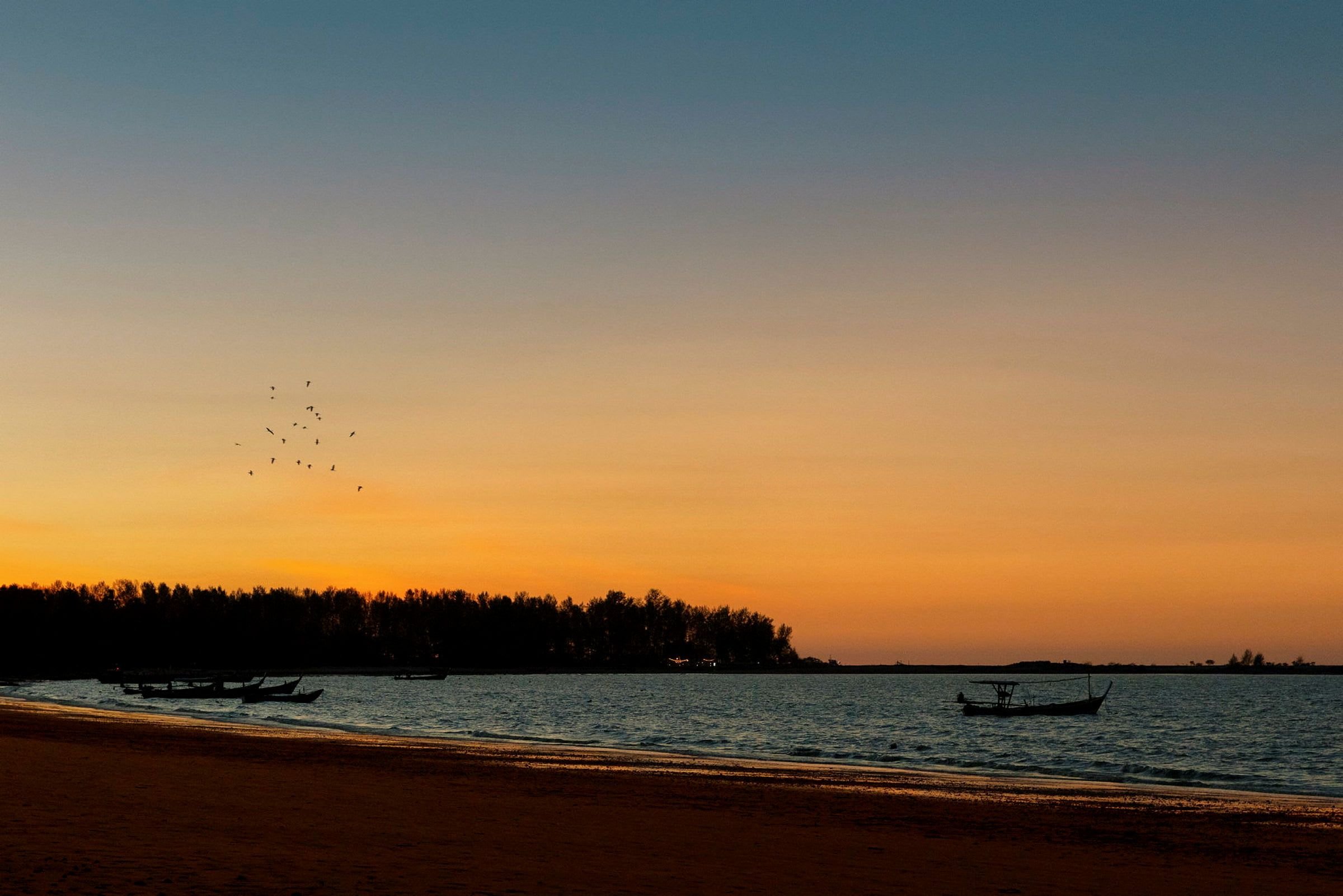 En solnedgang over en strand med båter og fugler. (AI-generert tekst)