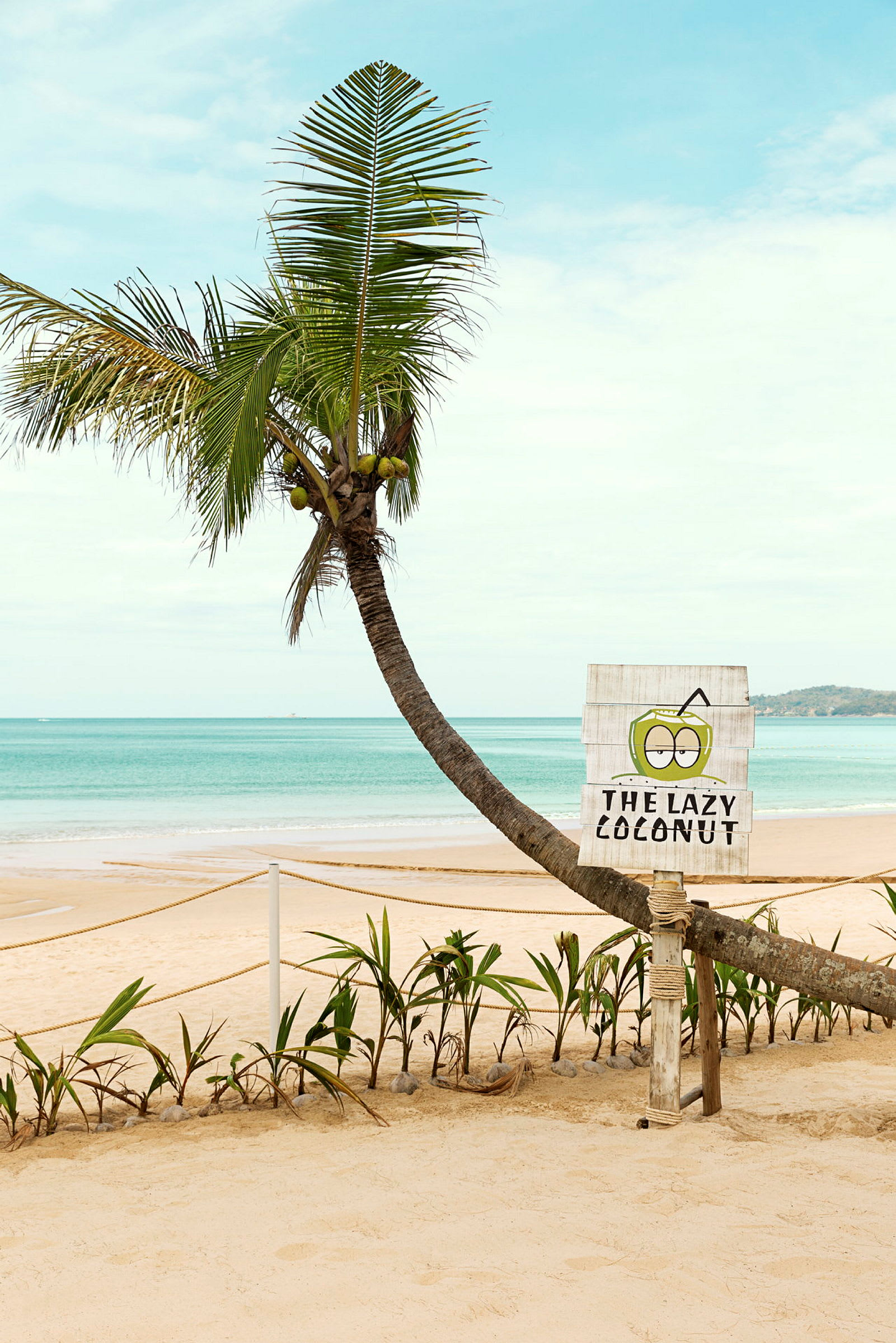 En skrånende palme med kokosnøtter ved en strand med et skilt som sier 'The Lazy Coconut'. (AI-generert tekst)