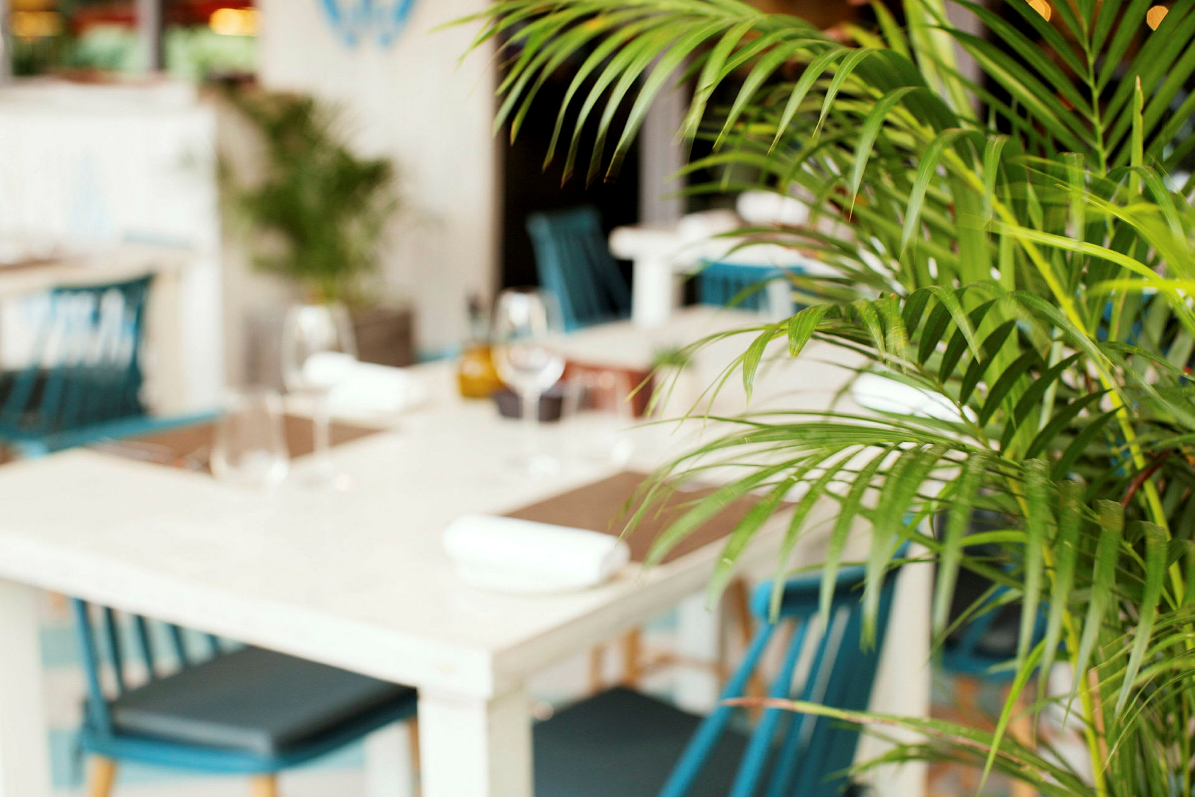 En moderne restaurant med grøn plante i forgrunnen og hvite bord med blå stoler. (AI-generert tekst)