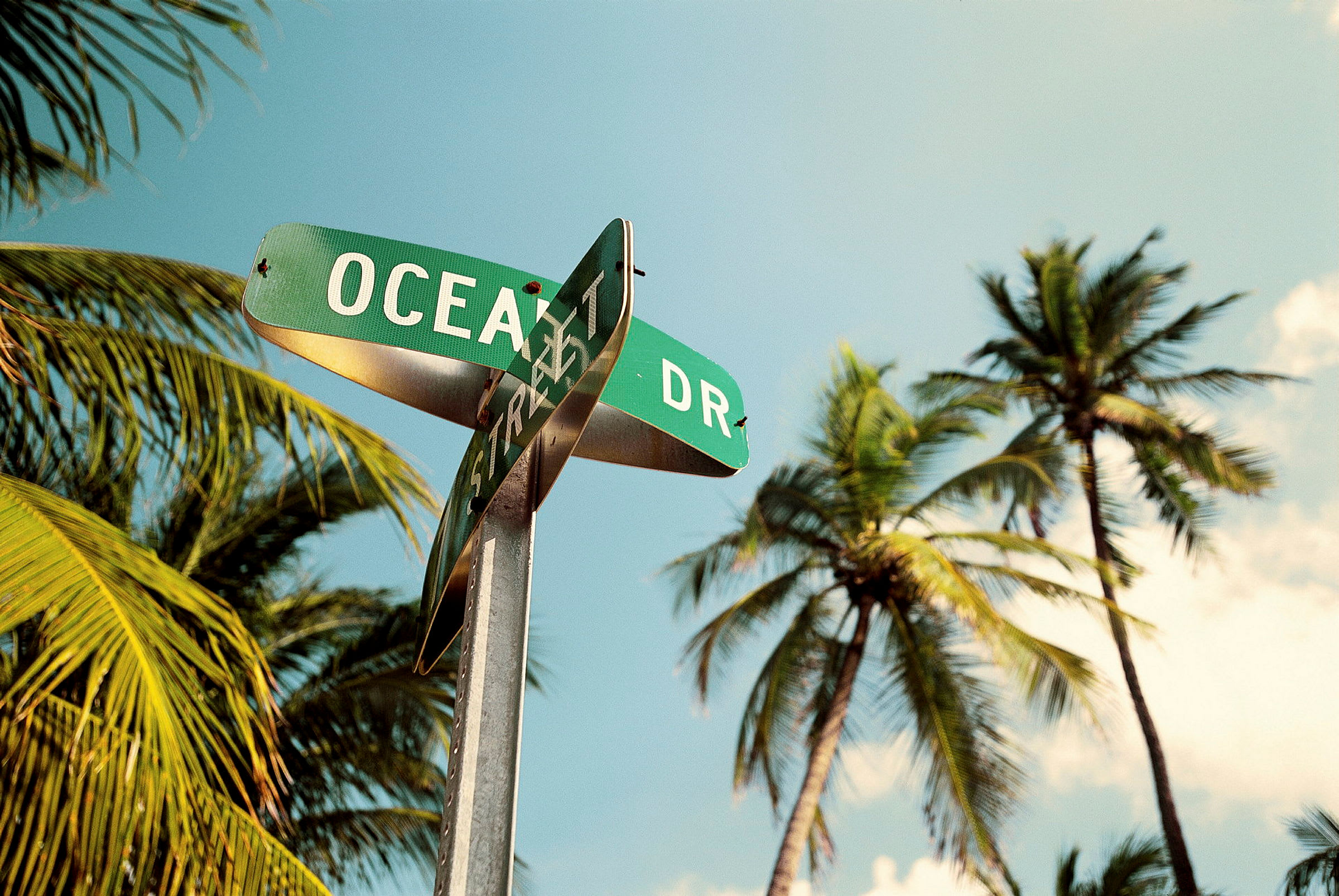 Et grønt gateskilt med teksten 'Ocean Dr.' og 'Street' er festet til en stolpe. Bakgrunnen viser høye palmer og en klar himmel. (AI-generert tekst)