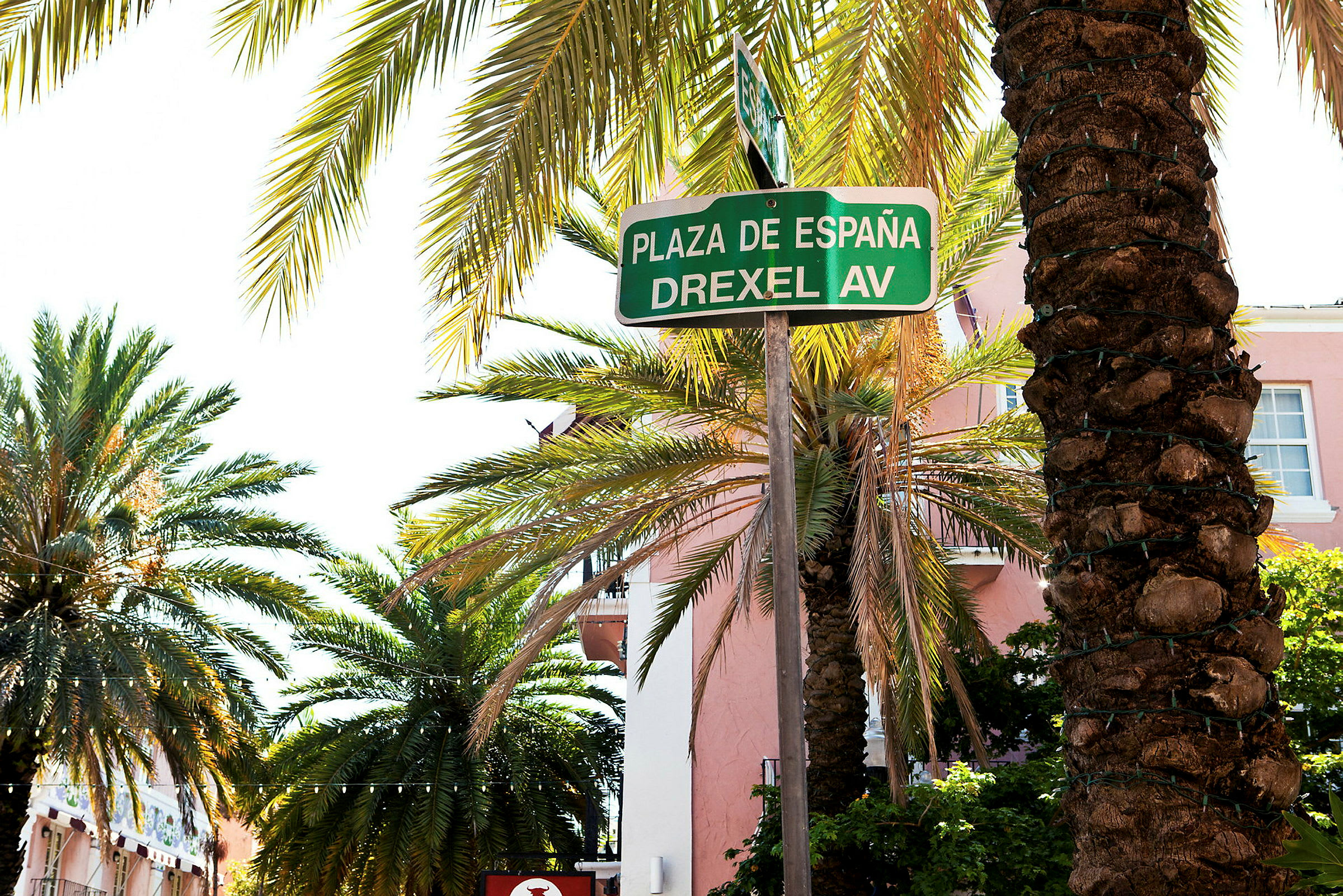 Skilt med teksten 'Plaza de España Drexel Av', omgitt av palmer. (AI-generert tekst)