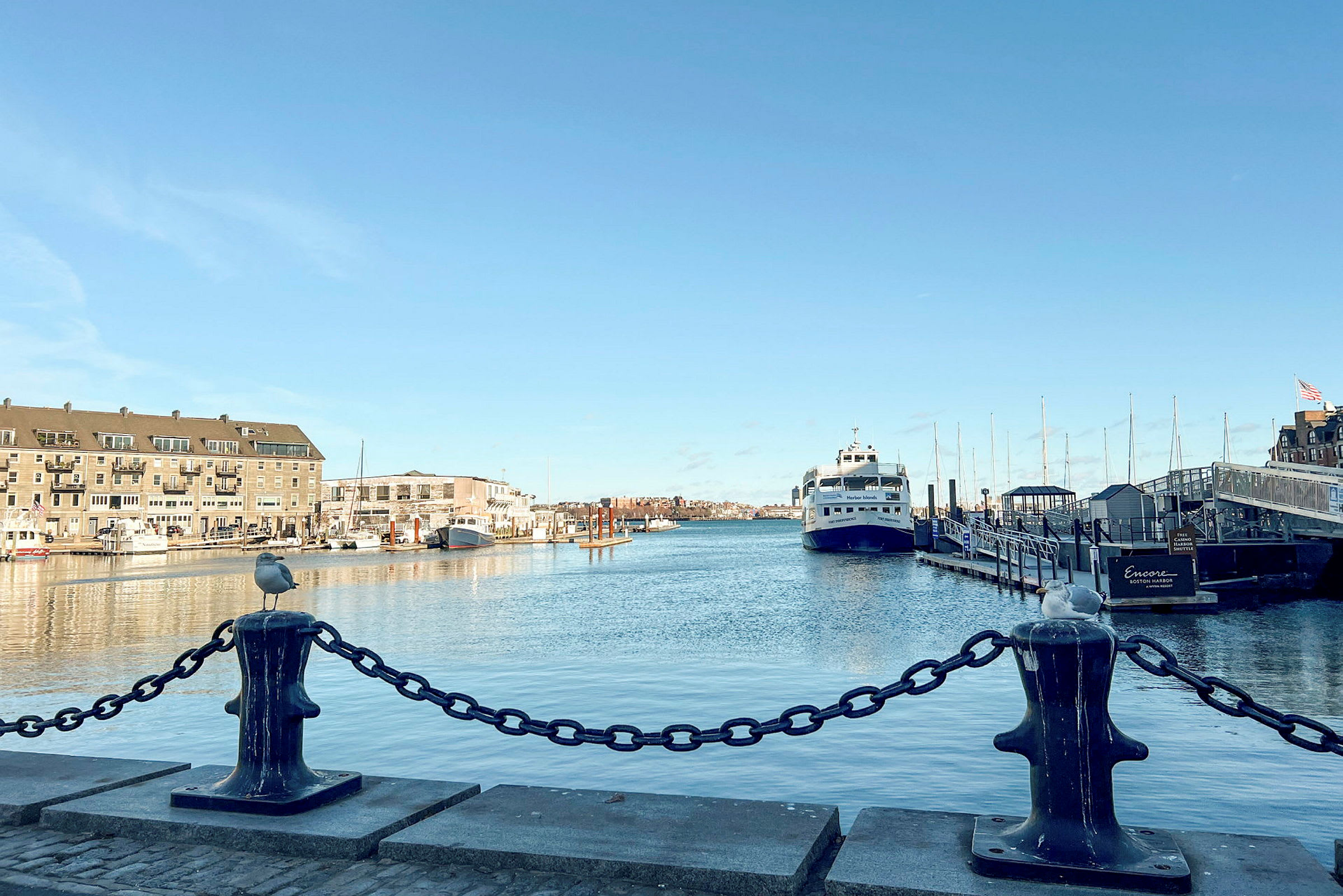 Utsikt over en havn med en ferge og bygninger i bakgrunnen samt en kjede og måke i forgrunnen. (AI-generert tekst)