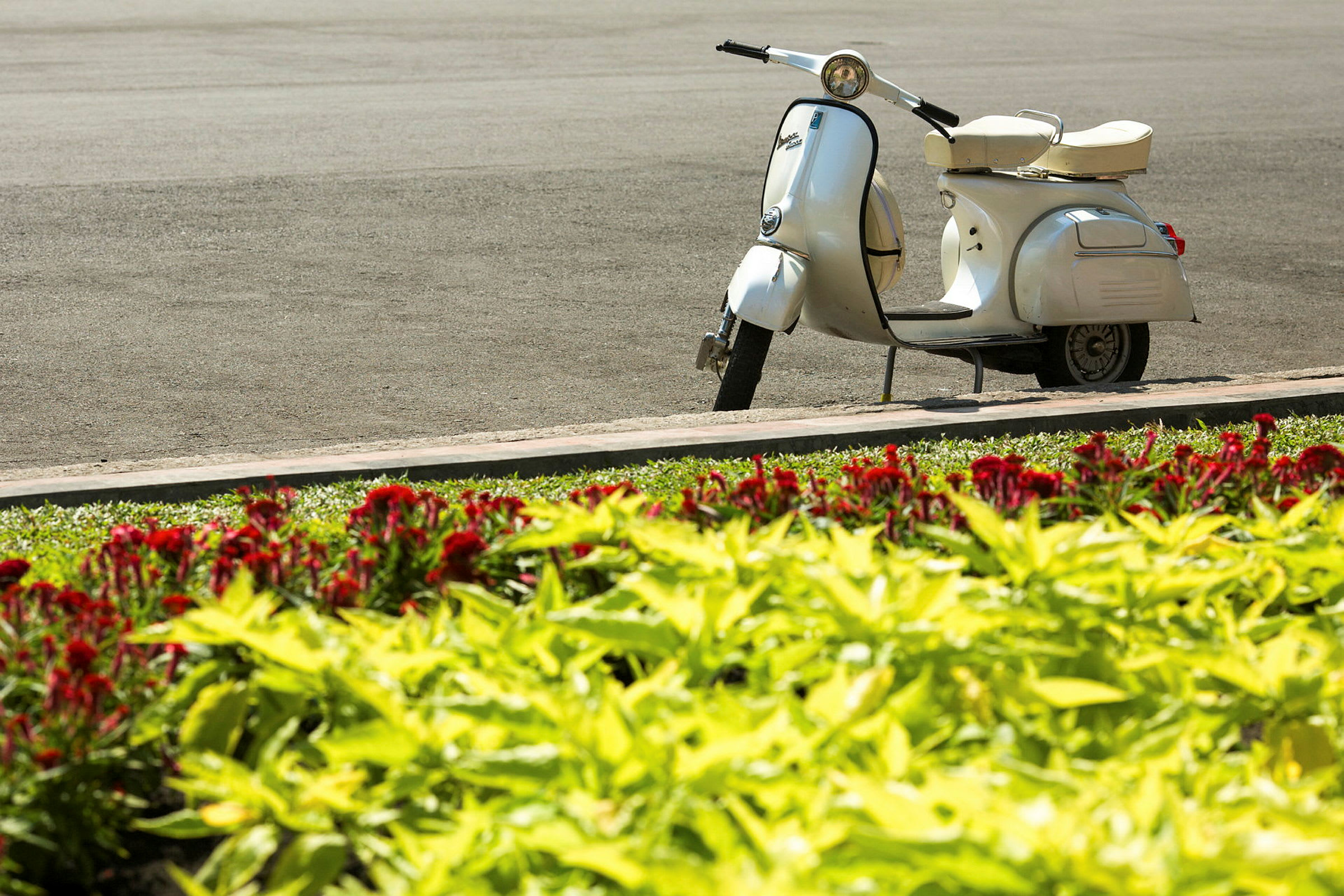 En hvit scooter parkert ved en vei nær et blomsterbed med røde og gule blomster. (AI-generert tekst)