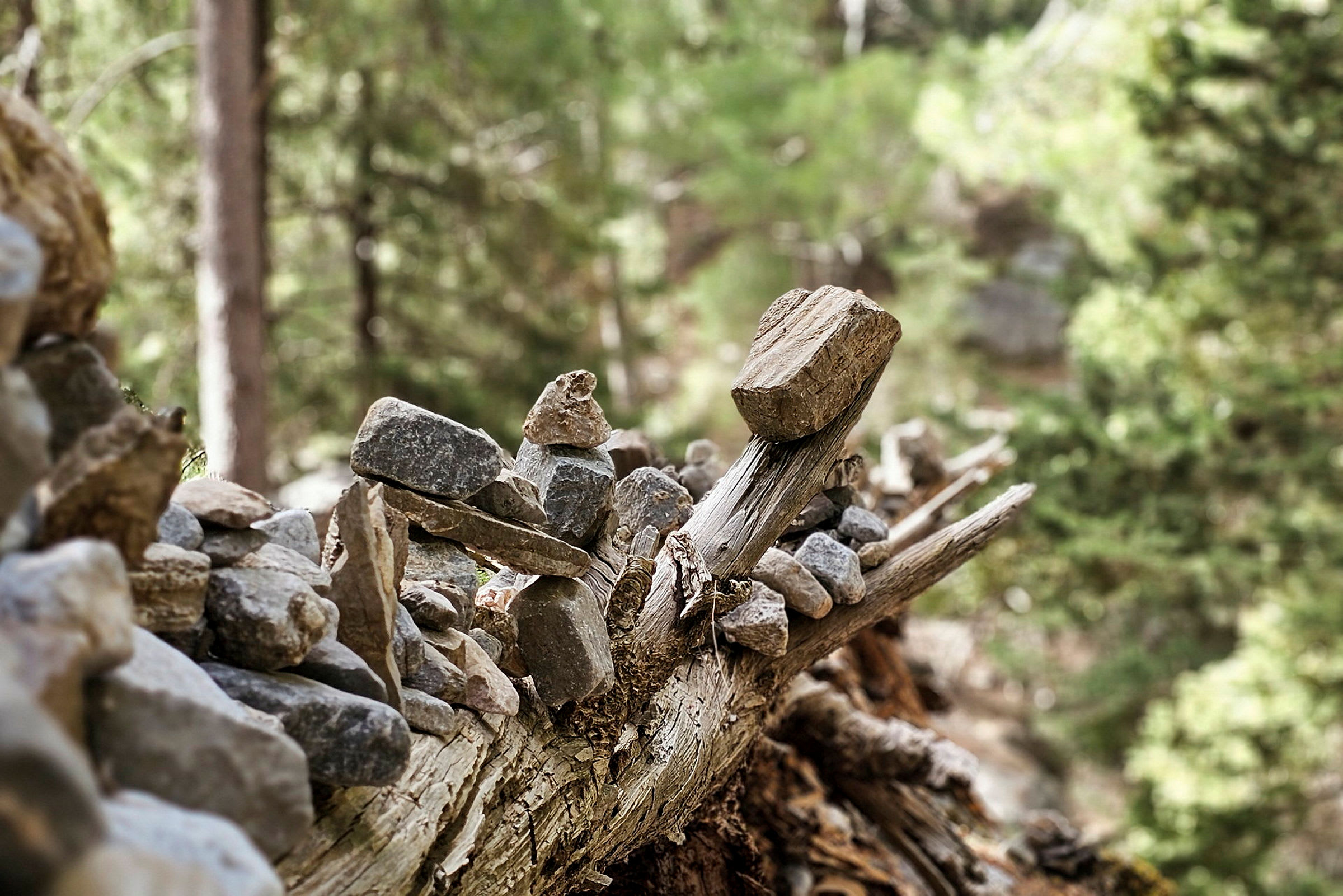 En falt trestamme med små steiner plassert på toppen, omgitt av skog. (AI-generert tekst)