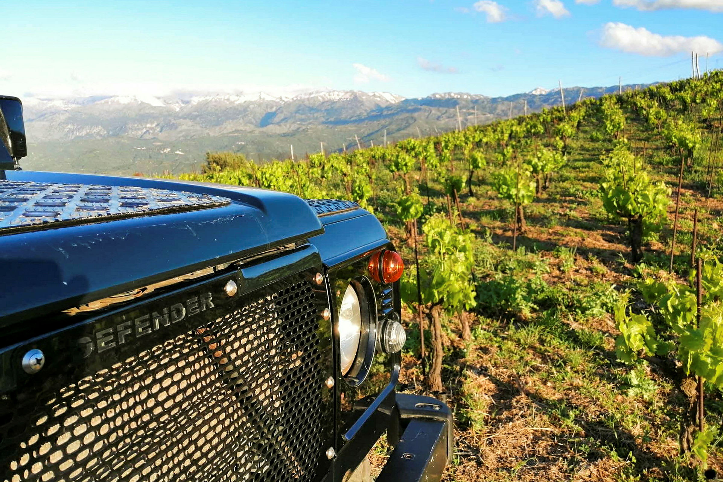Et terrengkjøretøy i forgrunnen foran en dyrket vinplantasje med grønne ranker og fjell i bakgrunnen. (AI-generert tekst)