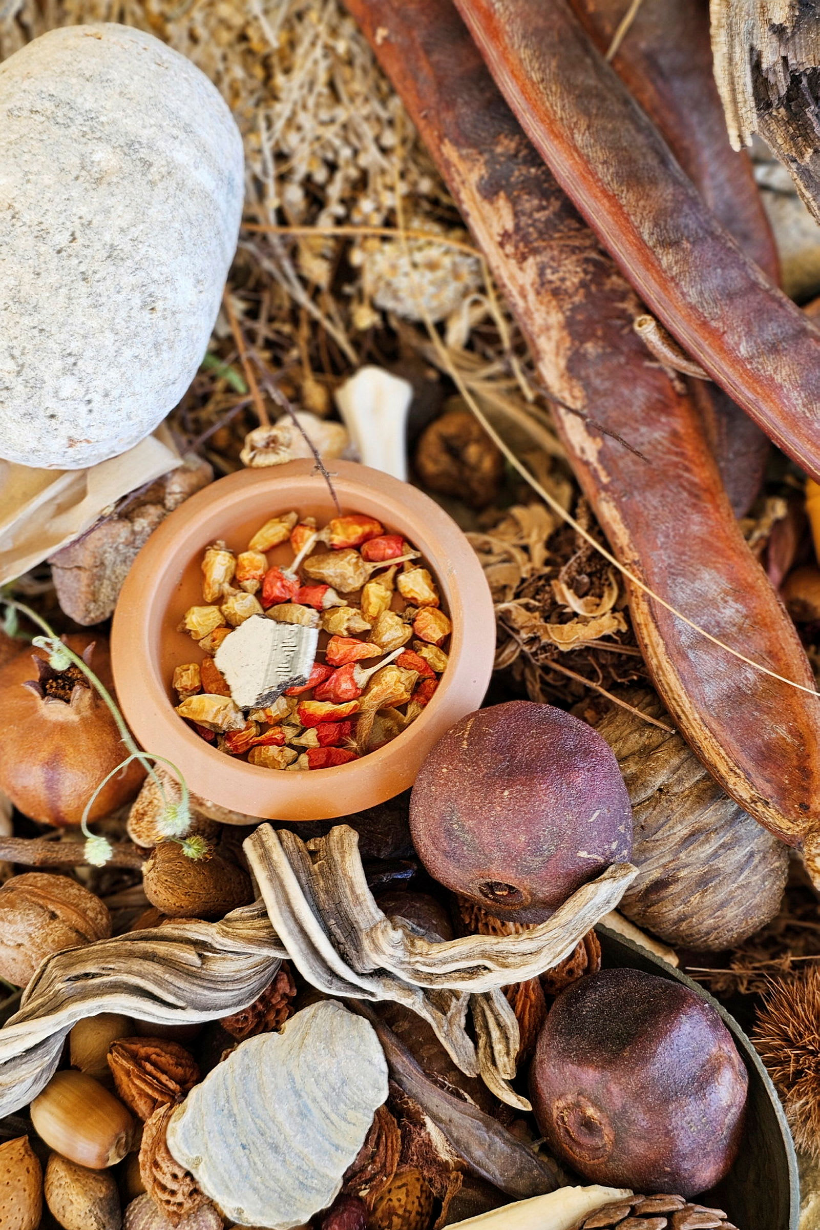 En bolle fylt med tørkede planter og fruktskiver, omgitt av ulike naturmaterialer. (AI-generert tekst)
