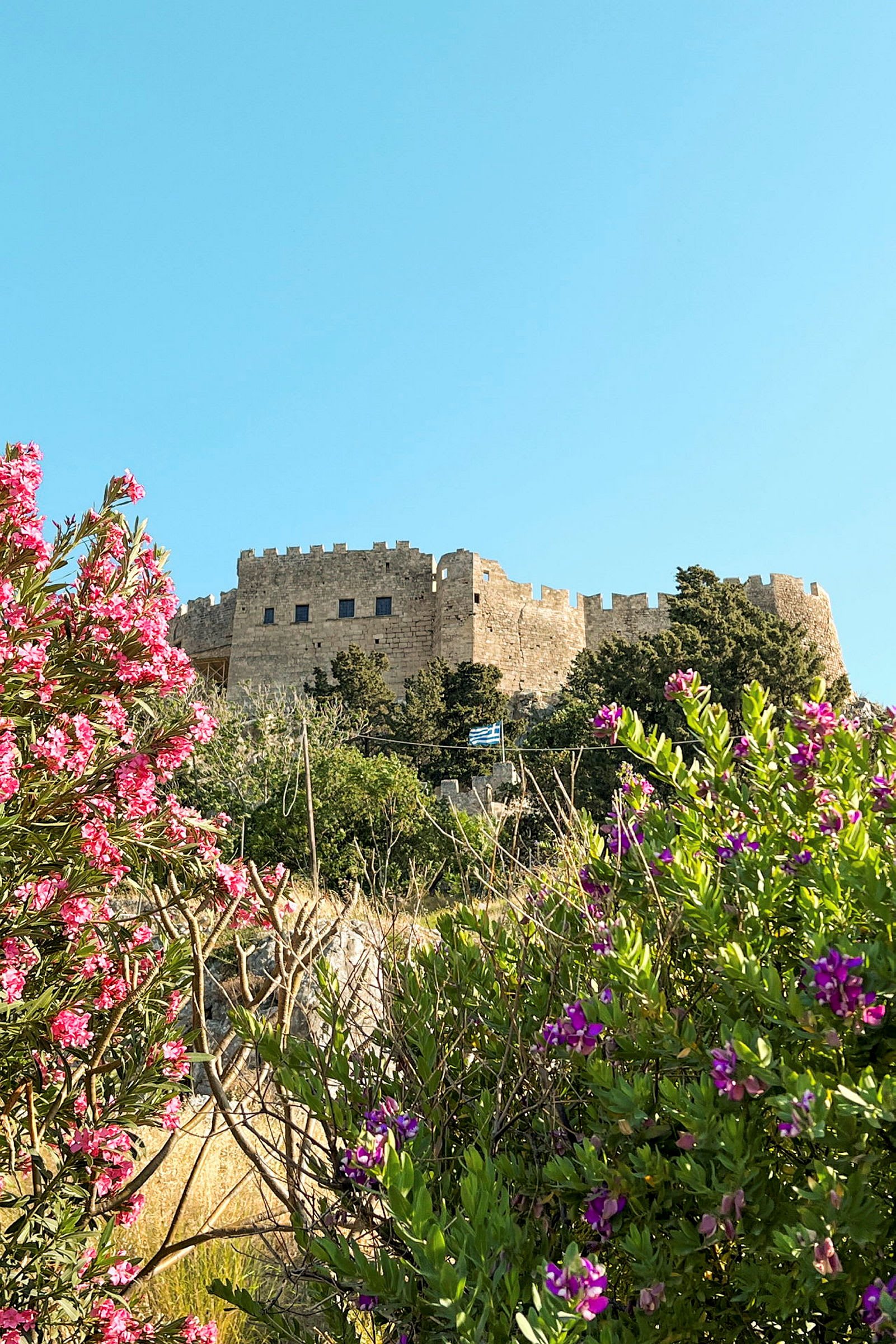 Bilde av en steinborg plassert på en høyde, omgitt av grøntområder og lilla samt rosa blomster i forgrunnen. (AI-generert tekst)