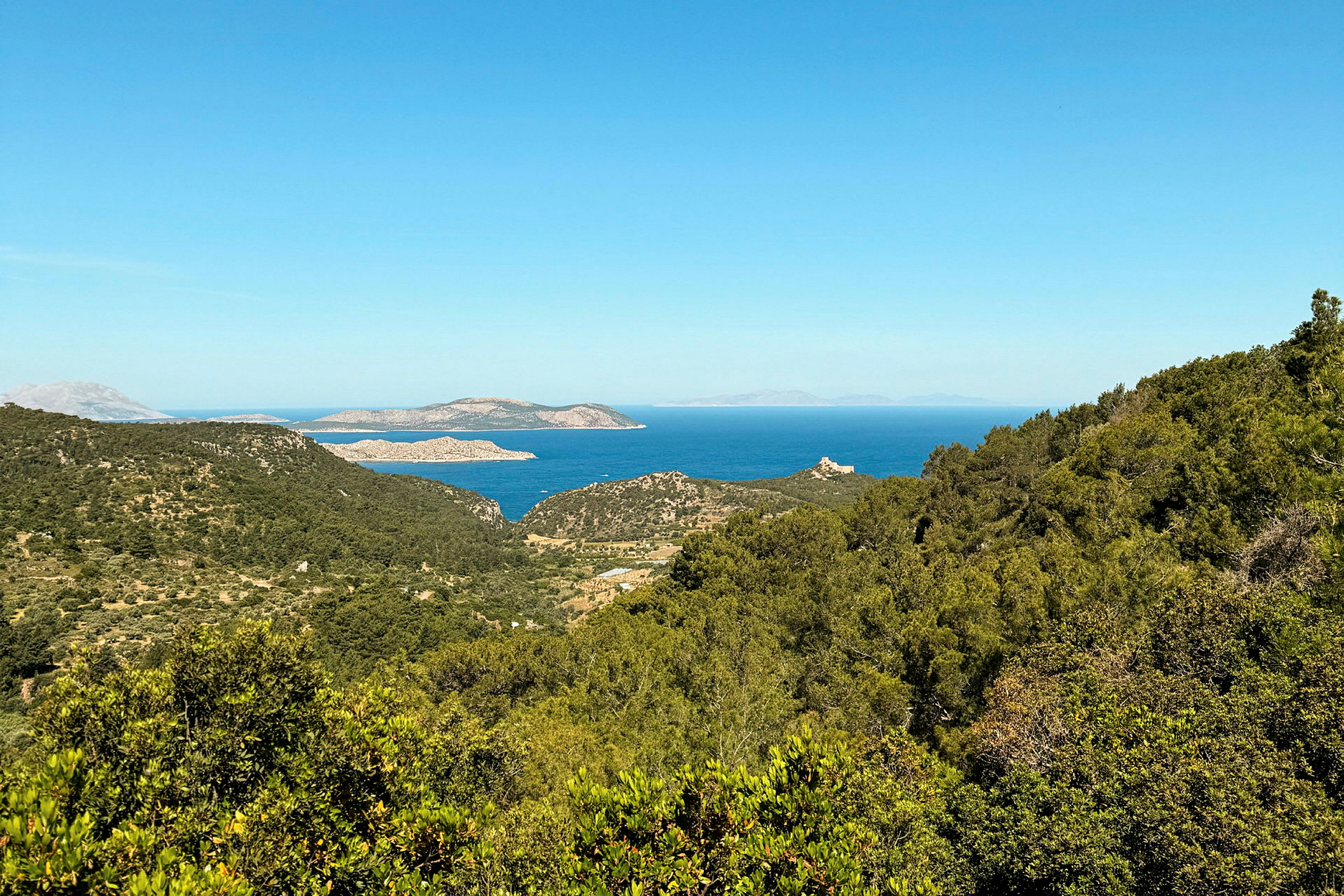Utsikt over grønne åser og skoger med havet og øyer i bakgrunnen. (AI-generert tekst)