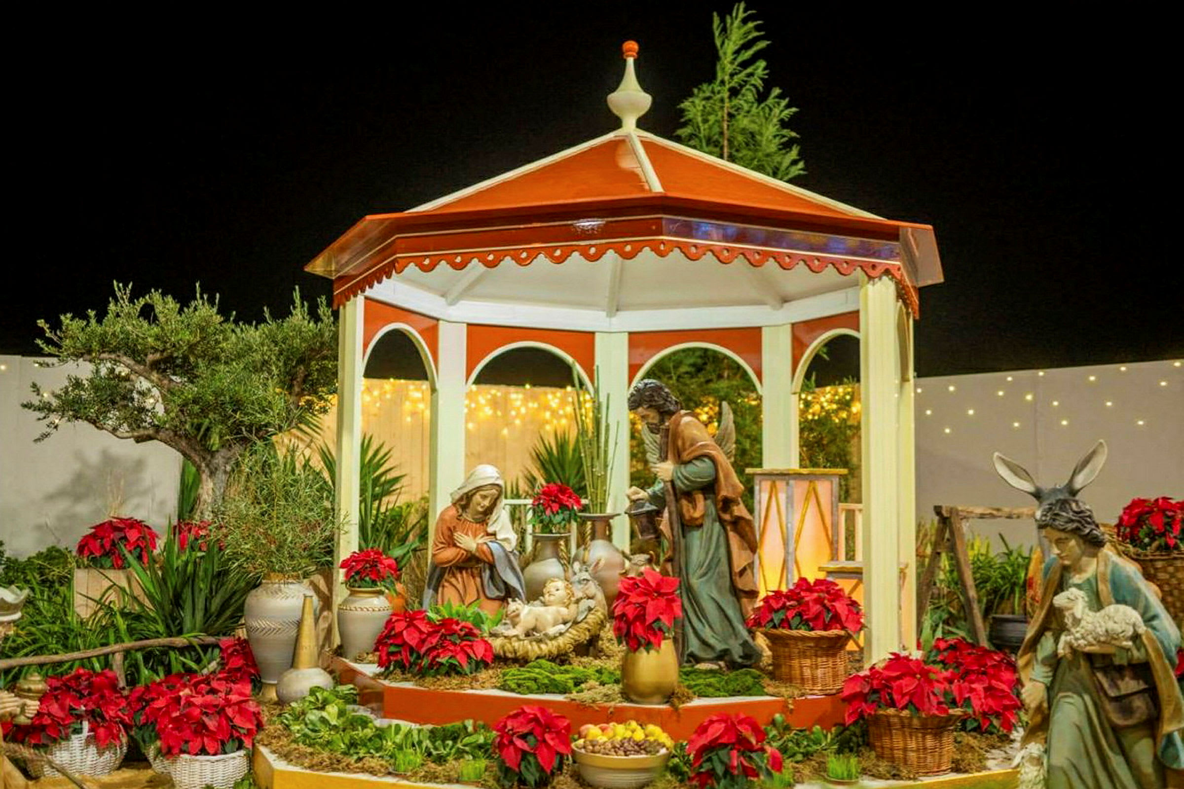 En julekrybbe med figurer av Josef, Maria og Jesusbarnet under en rød og hvit paviljong, omgitt av julestjerner og grønne planter. (AI-generert tekst)