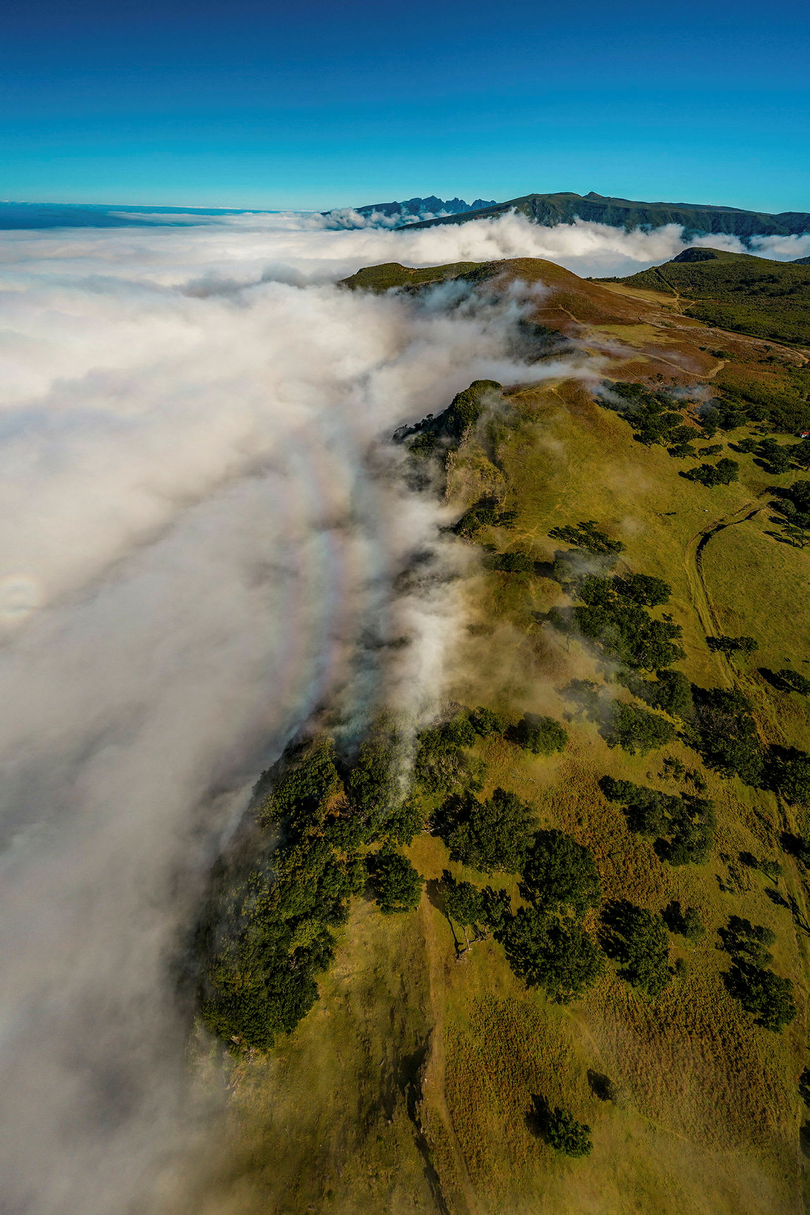 Et bilde av en fjellrygg med frodig landskap delvis dekket av tåke samt blå himmel. (AI-generert tekst)