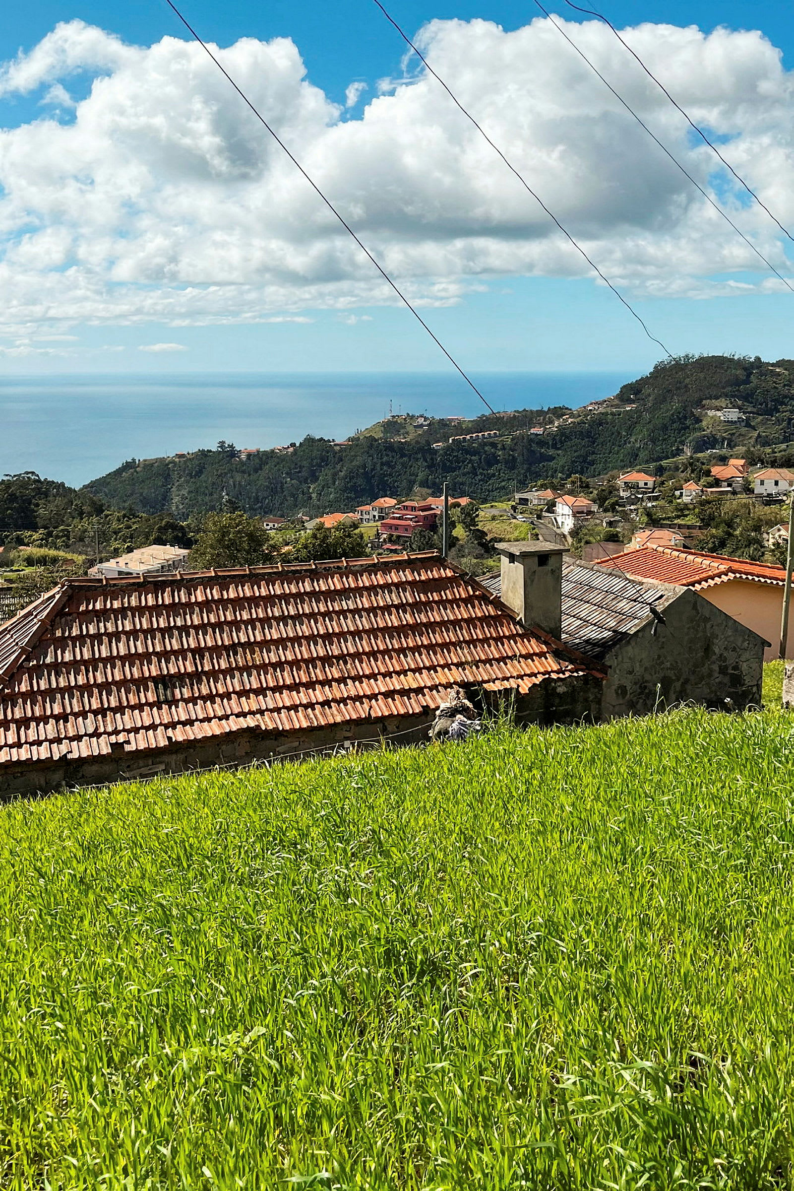 Utsikt over hus med røde tak omgitt av frodig vegetasjon, med havet og fjell i bakgrunnen under en blå himmel. (AI-generert tekst)
