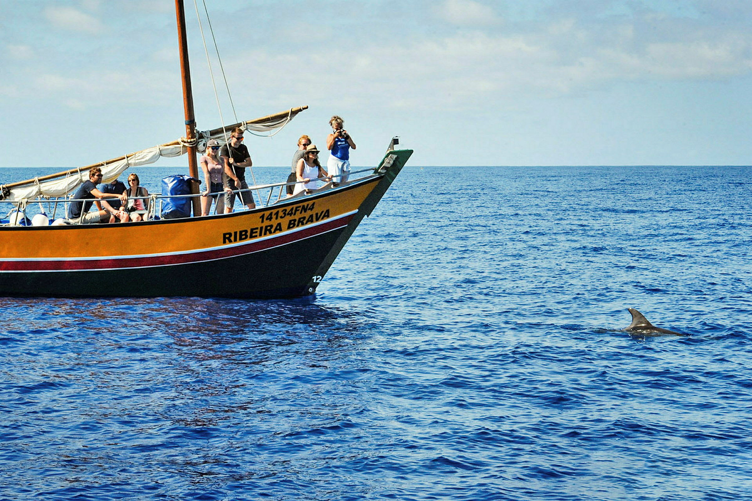 En båt med passasjerer nær en delfin i havet. (AI-generert tekst)