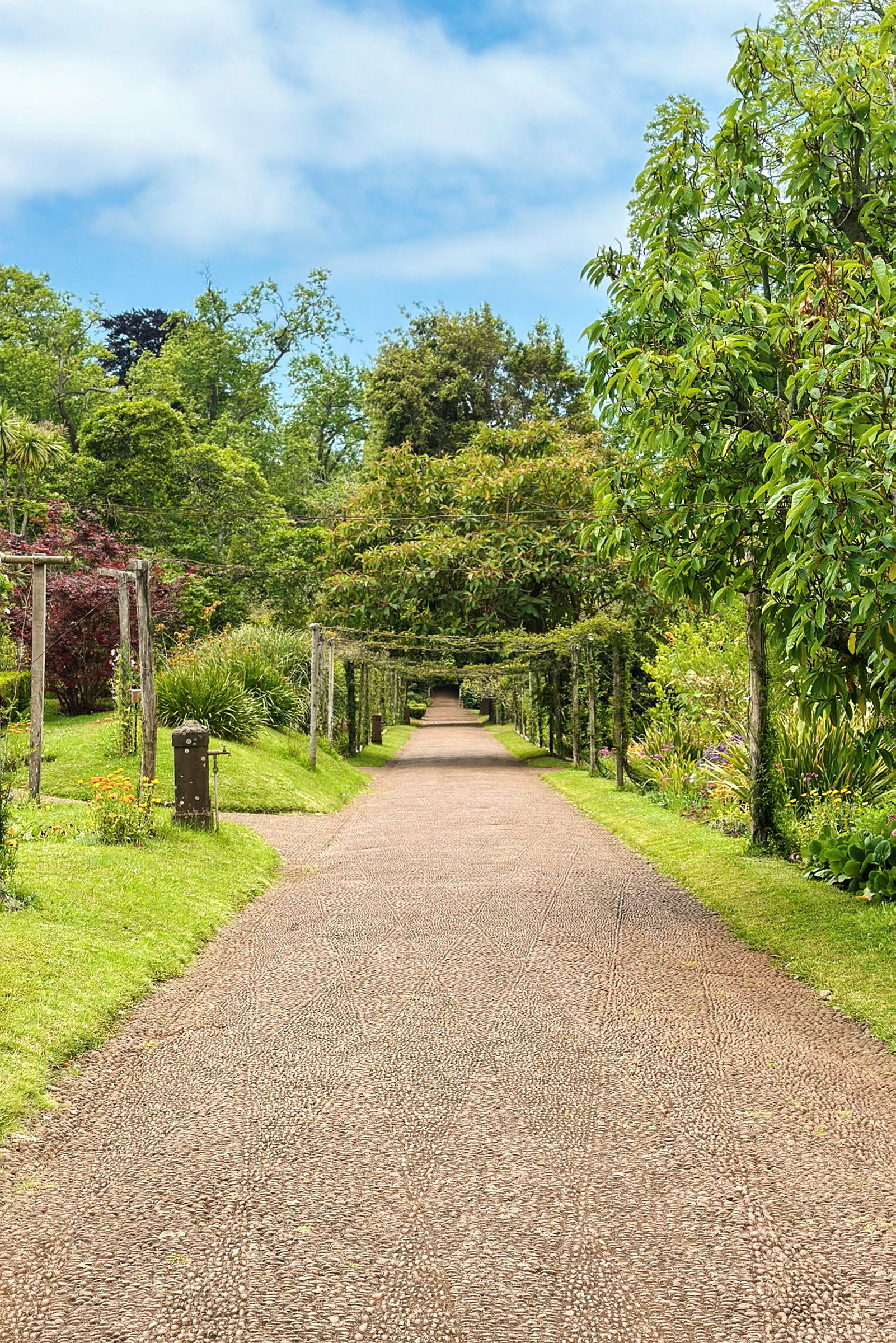 En grusvei som fører gjennom en frodig hage, omgitt av grøntområder og blomstrende planter. (AI-generert tekst)
